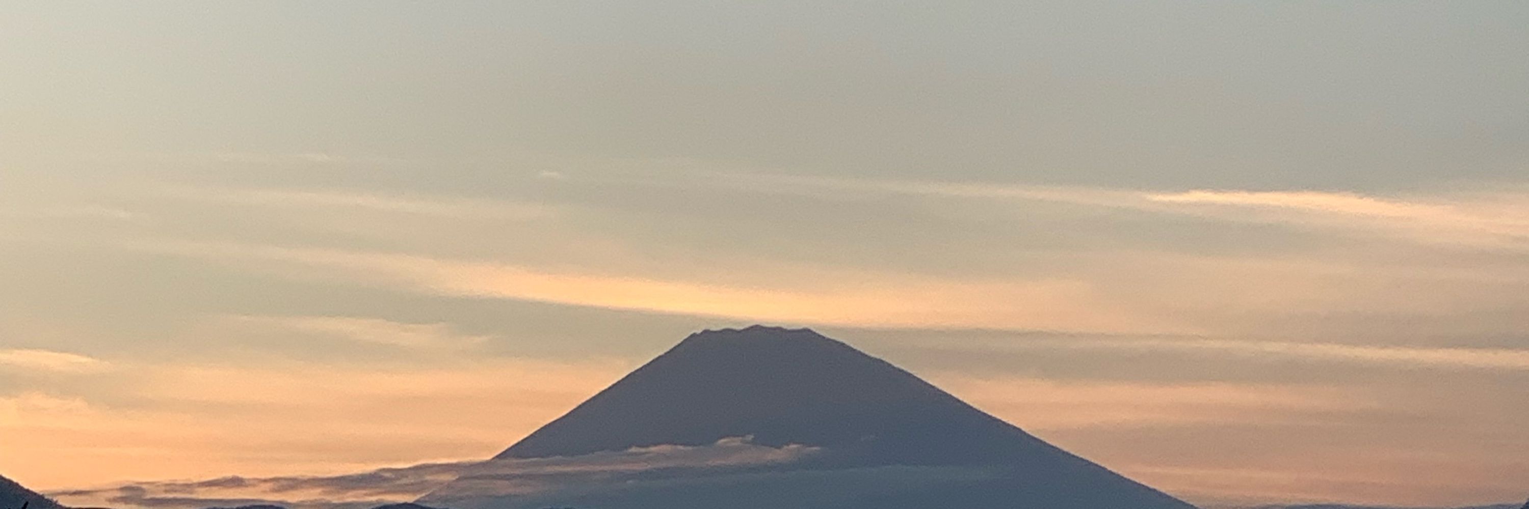 気まぐれ