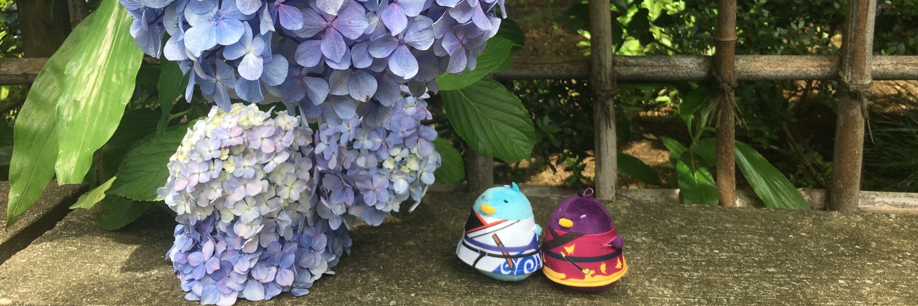 イズミ