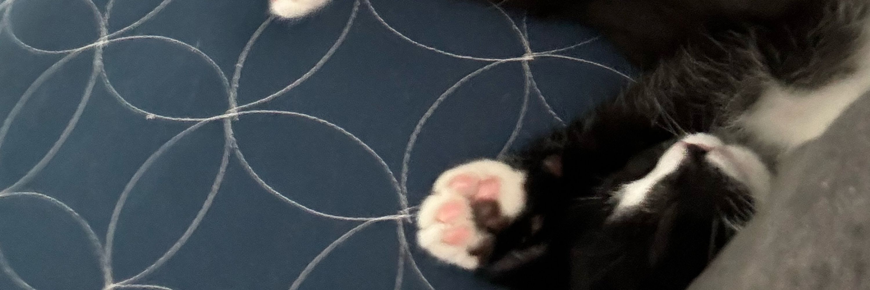 bene