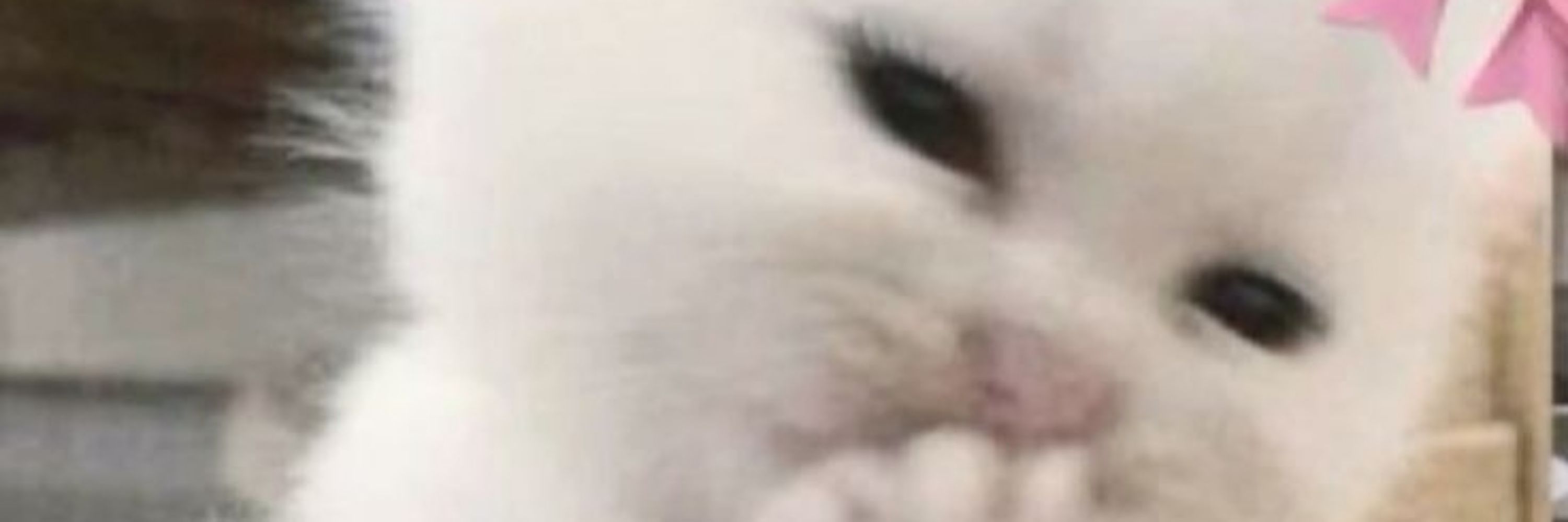 ୨୧.