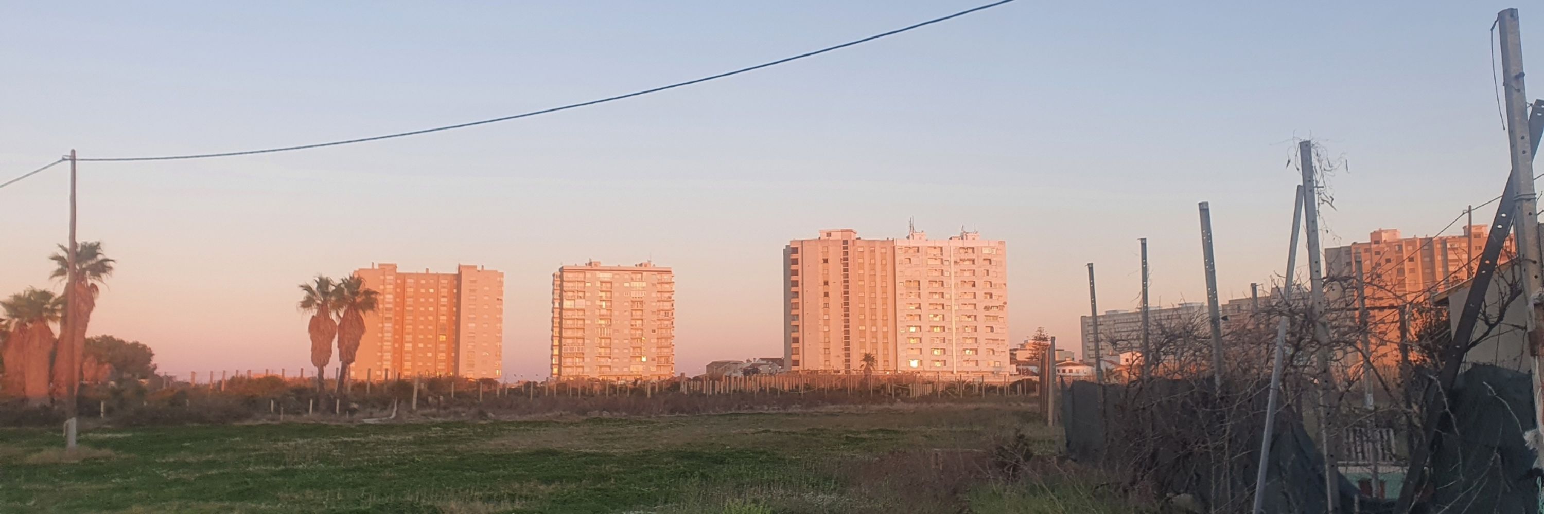 martatemporal