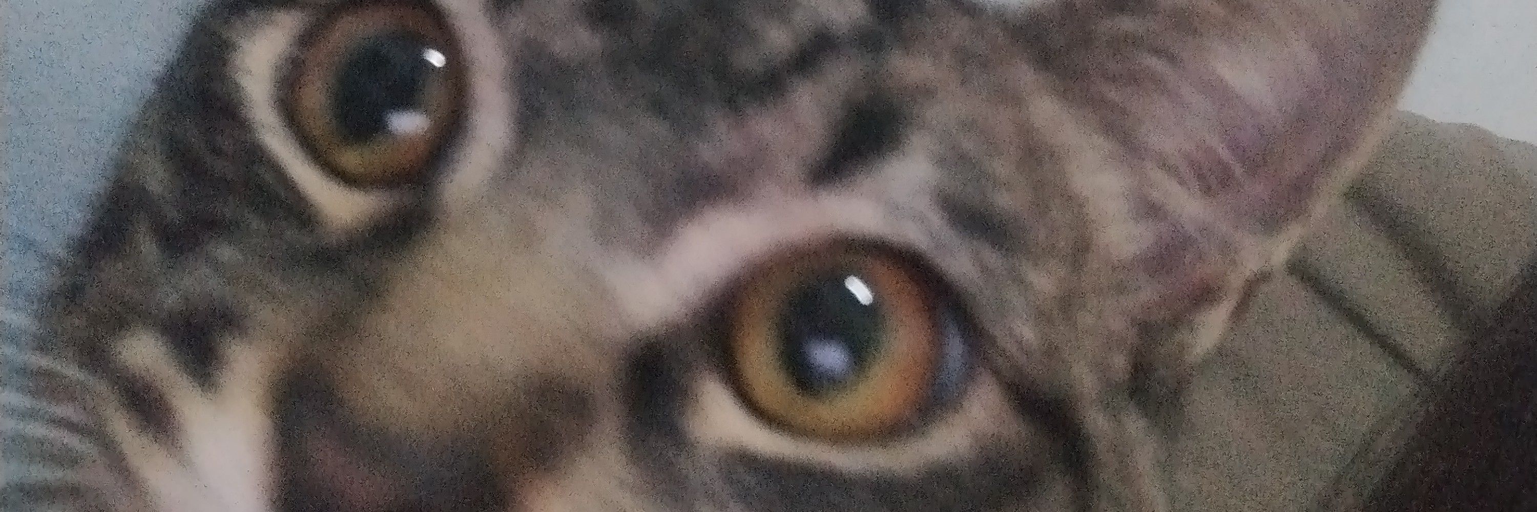 mari