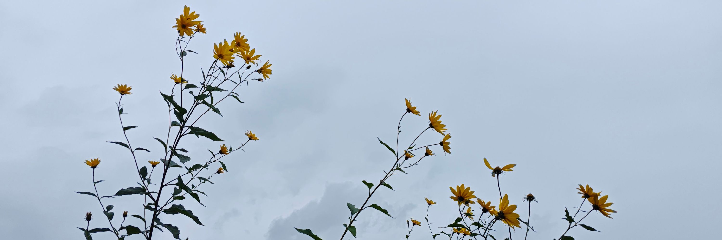 Mark_Ge_2023