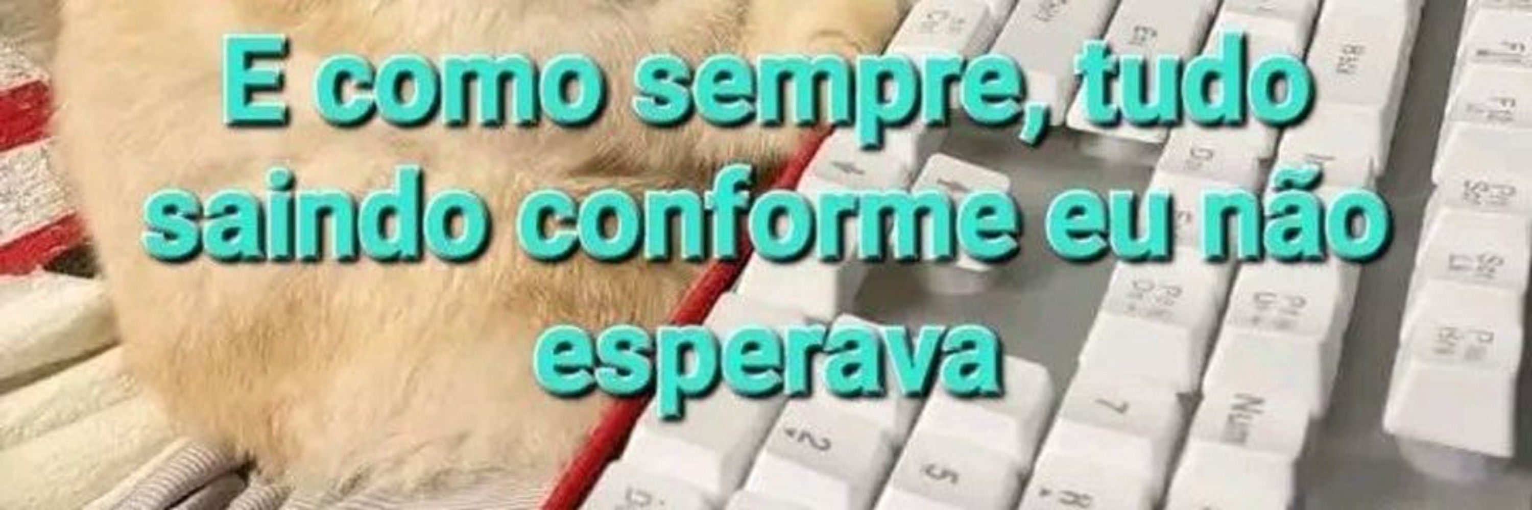 Jotas