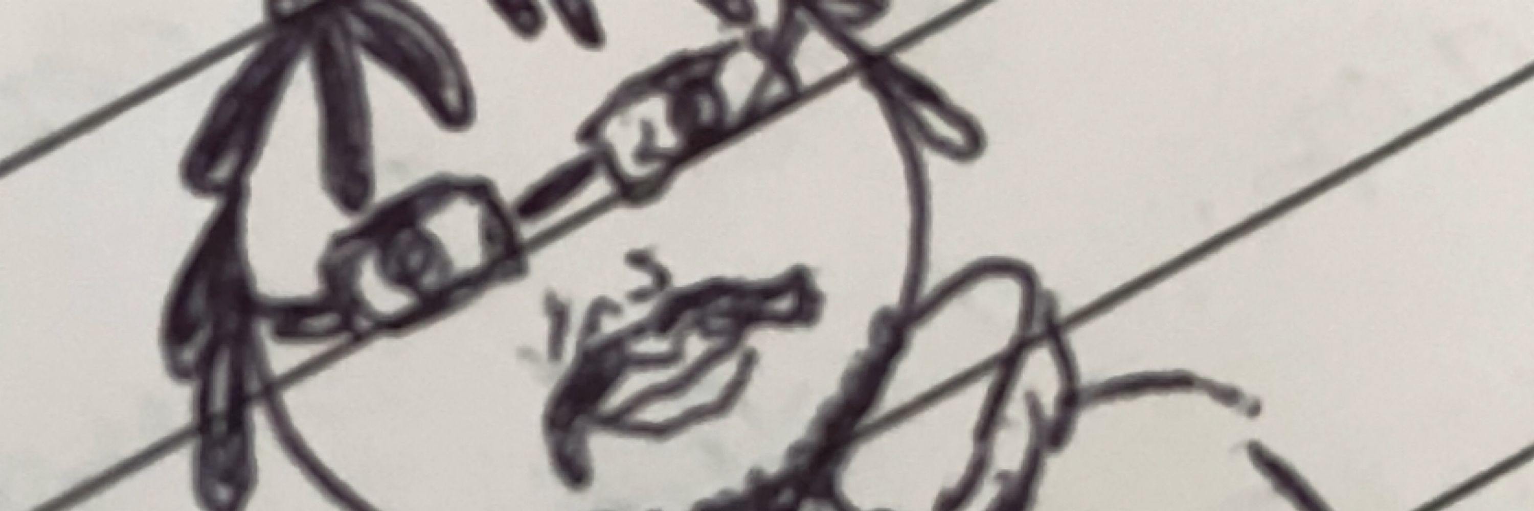 Teru’s real but fake RP Account
