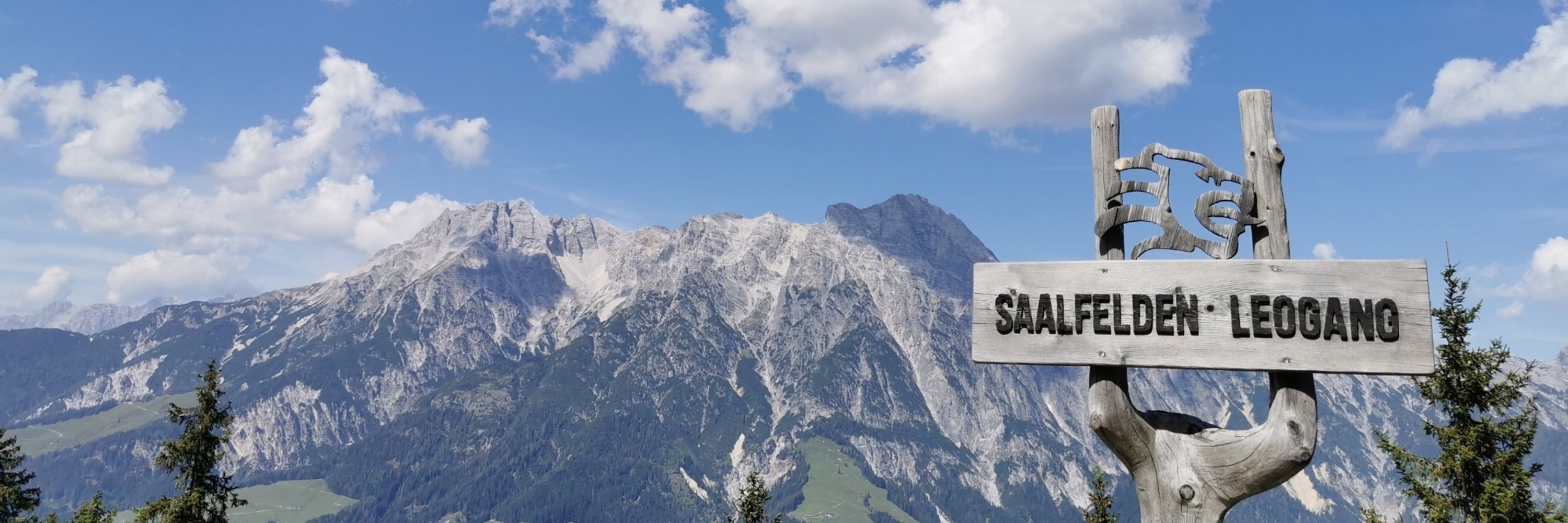 SandraRoach