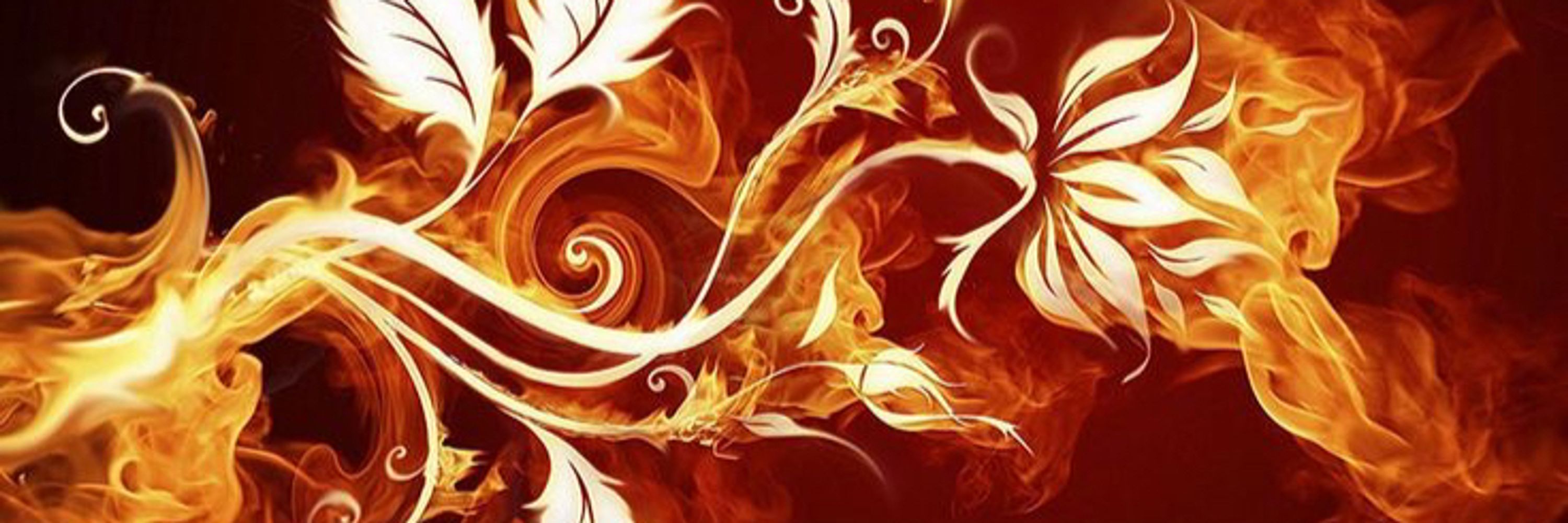 Bunny Dragonflame