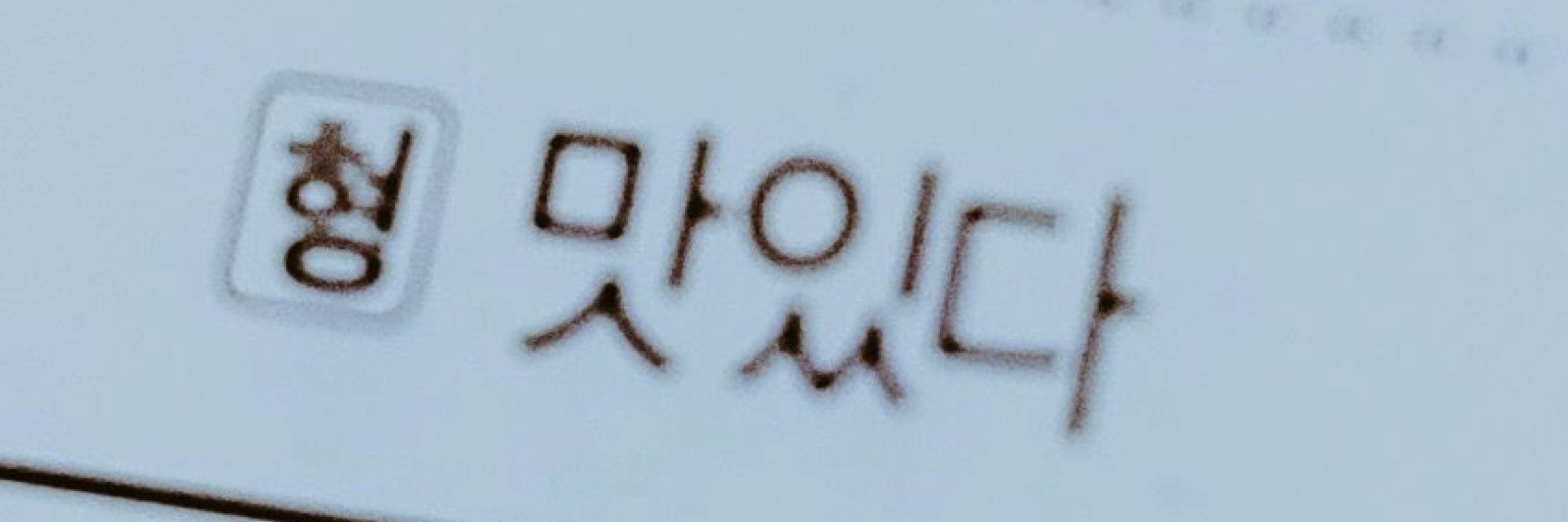 멋쟁이토마토