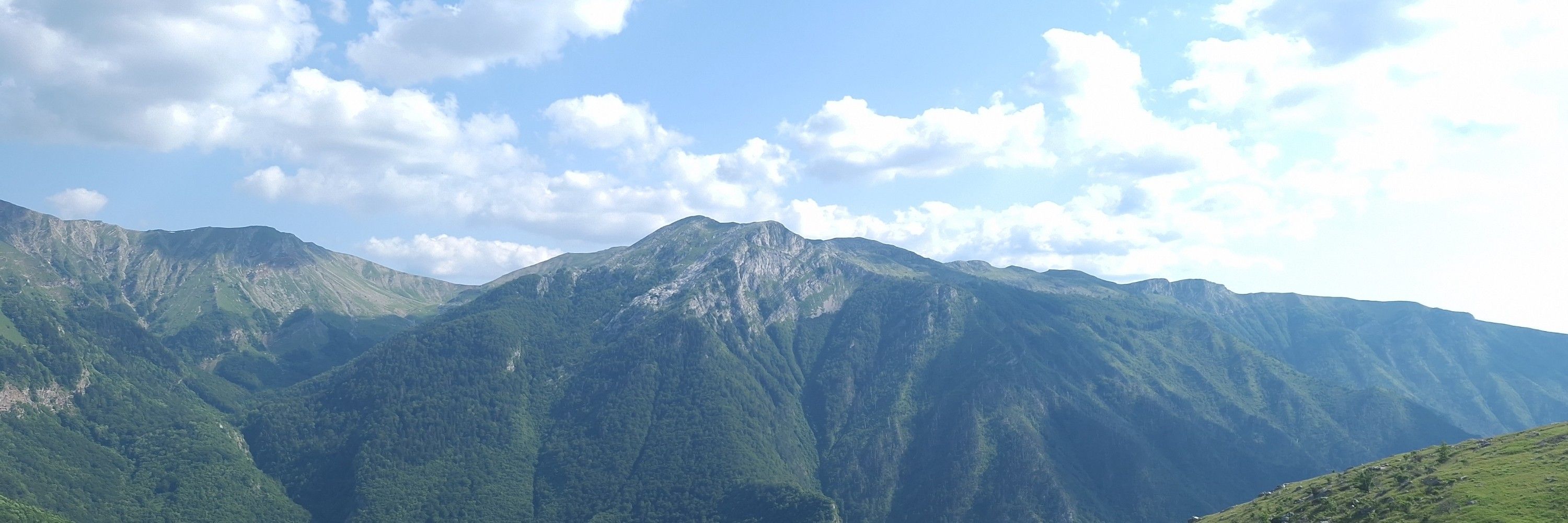 Aspida