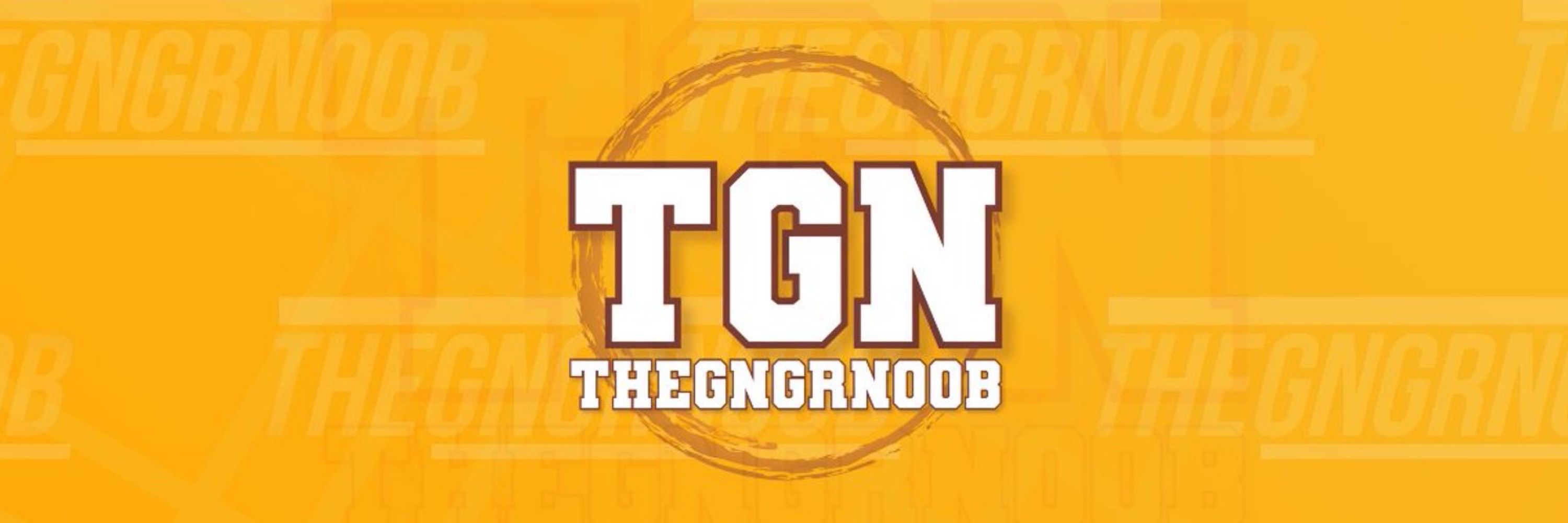 TheGngrNoob