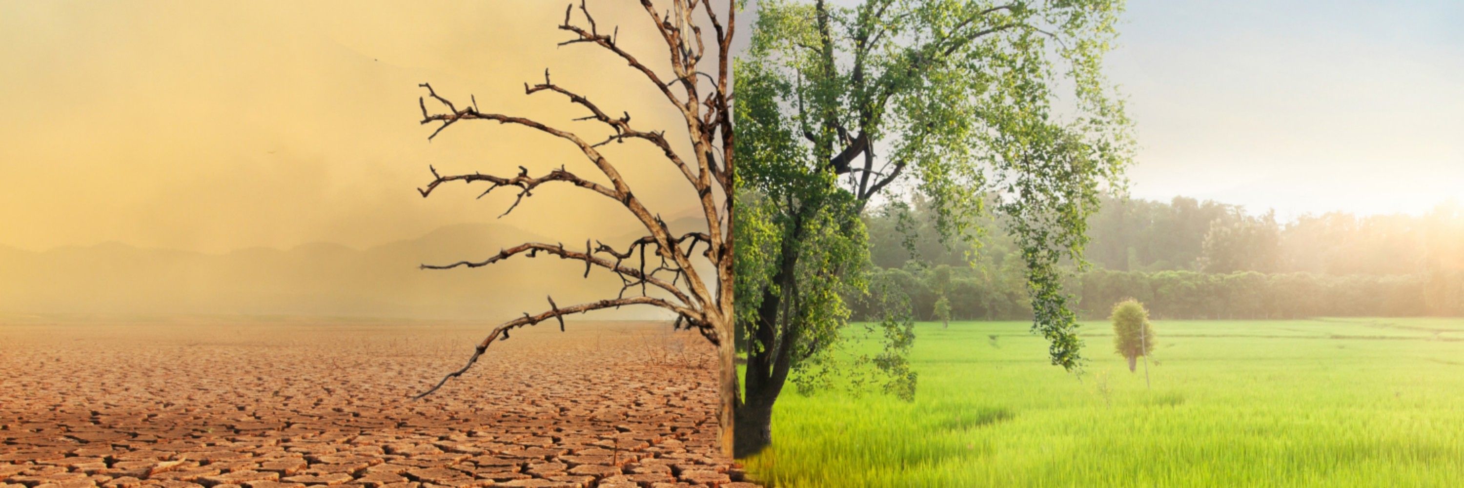 Climate Rob