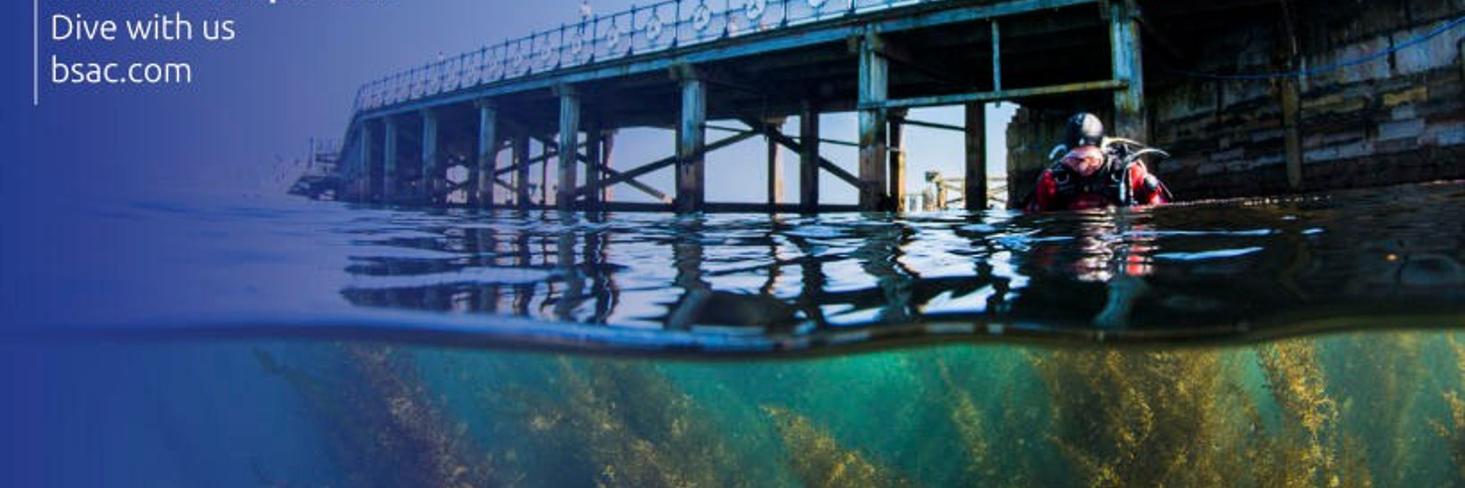 British Sub-Aqua Club