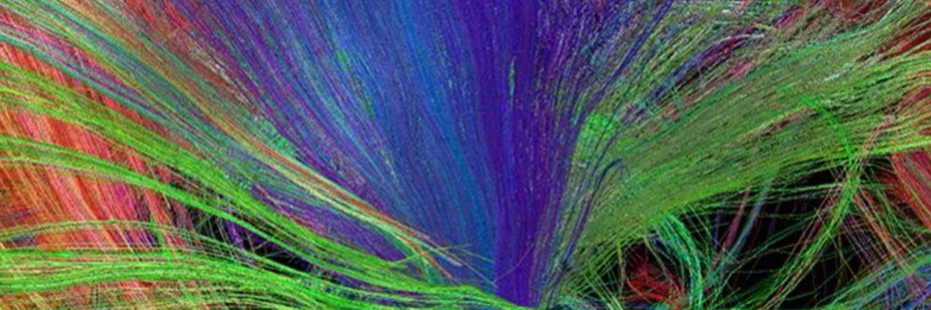Helmholtz Imaging