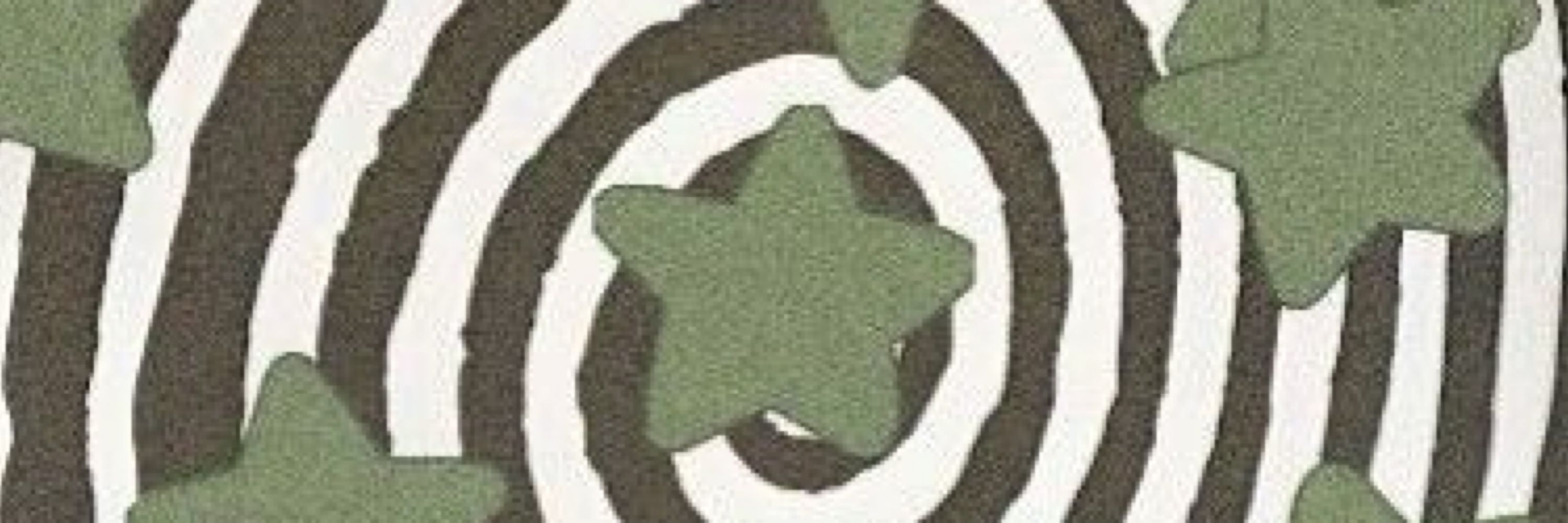 ryan