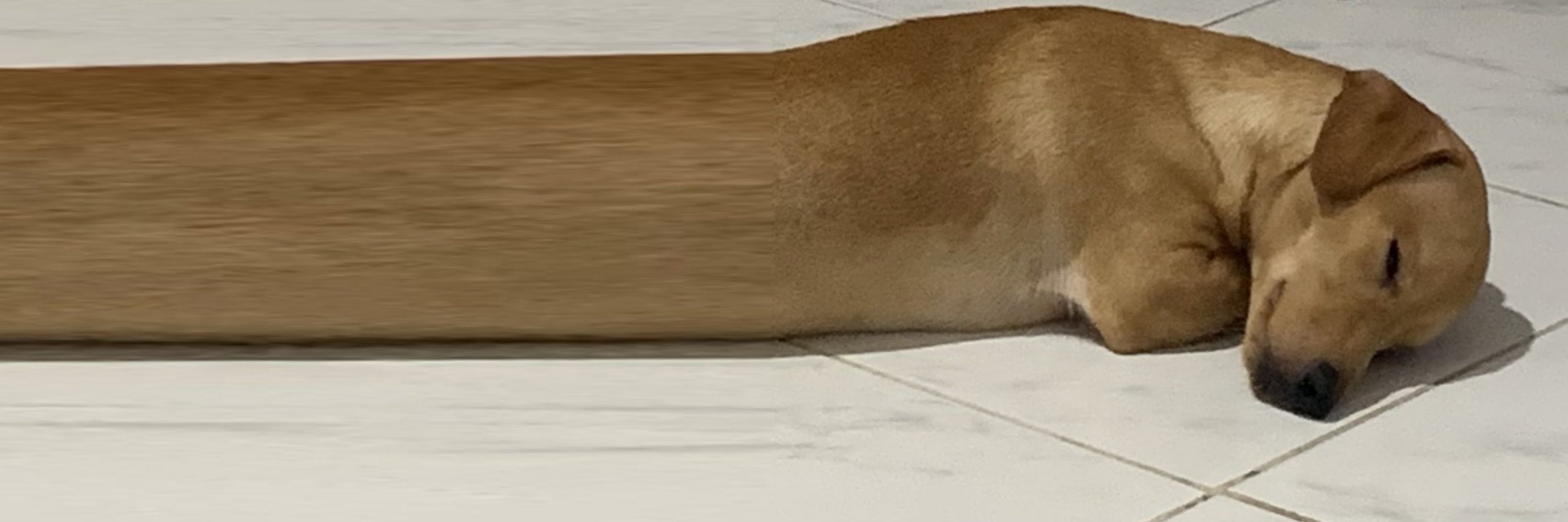 meurynha