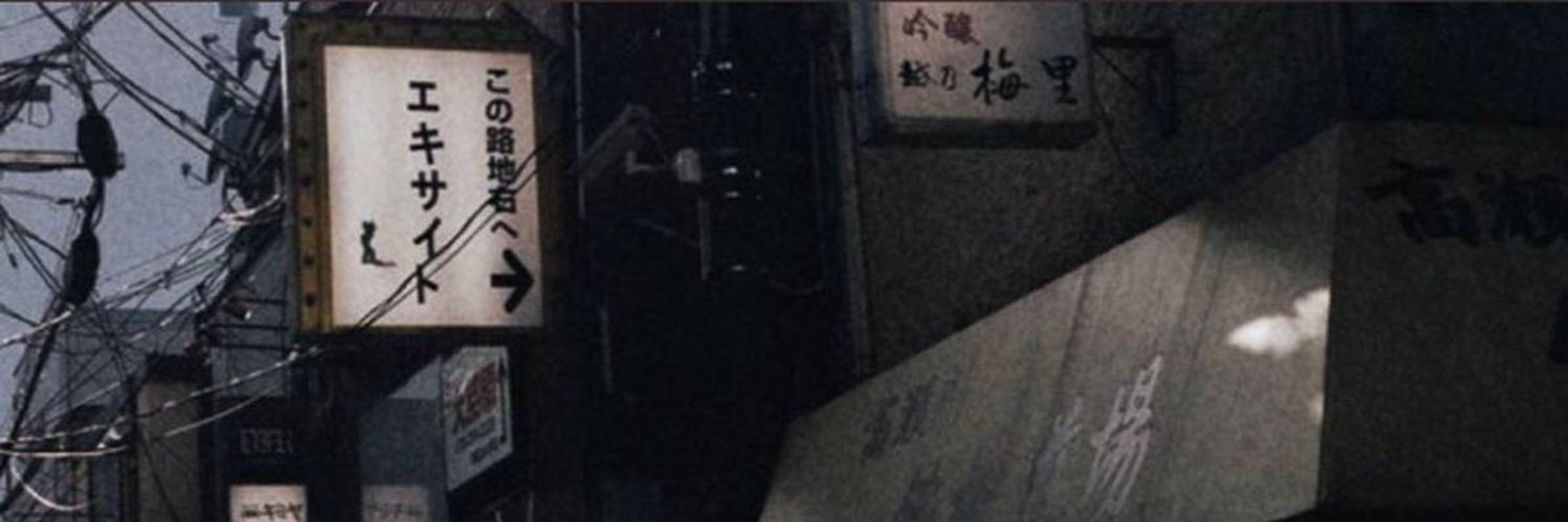 海