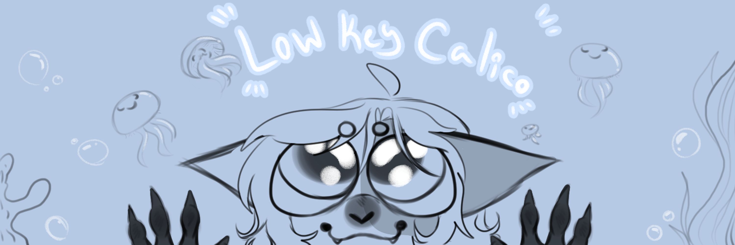 Sleepy Calico