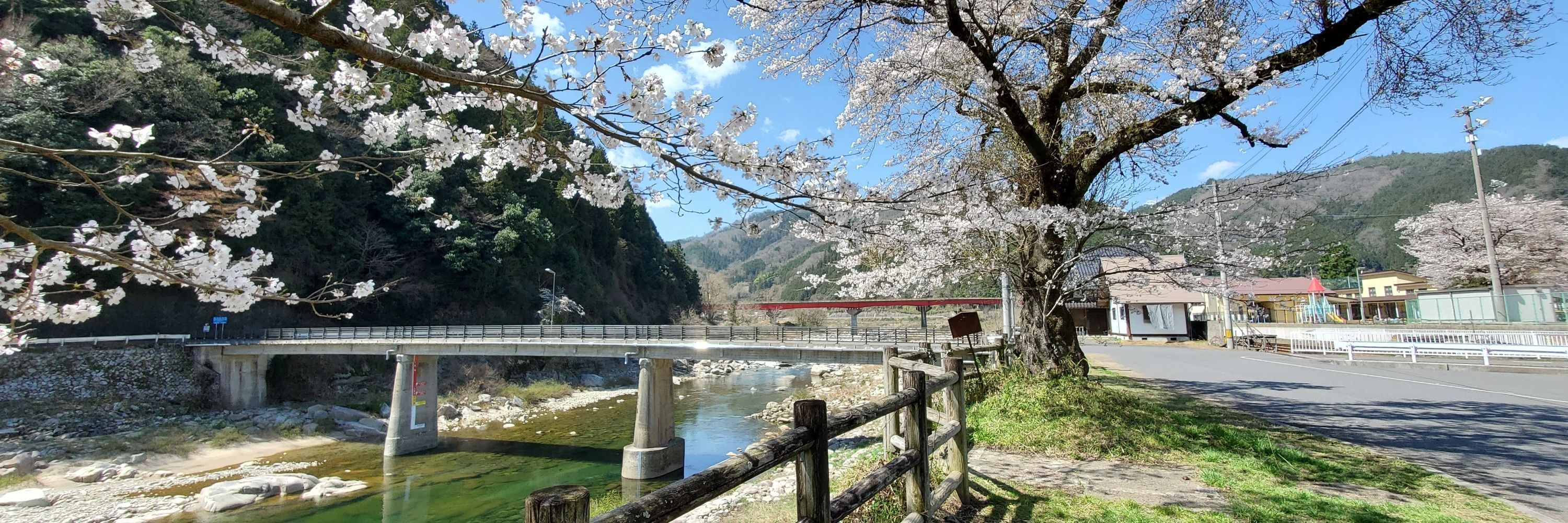 瑞井 箕月