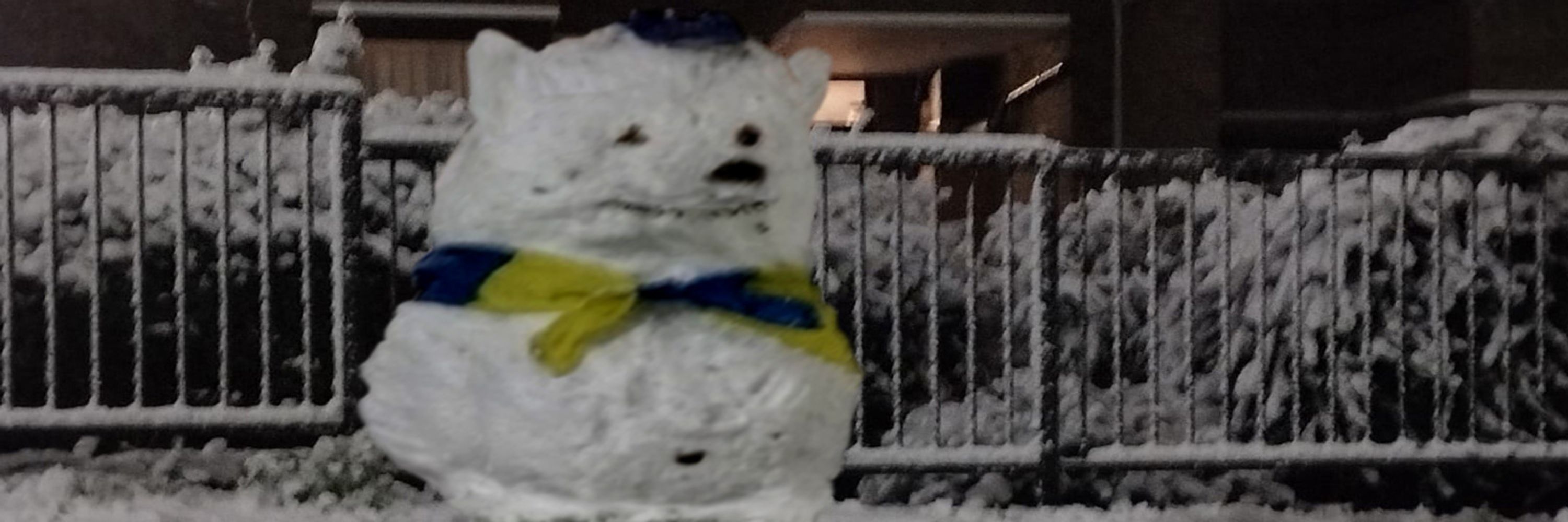 SnowmanFelly