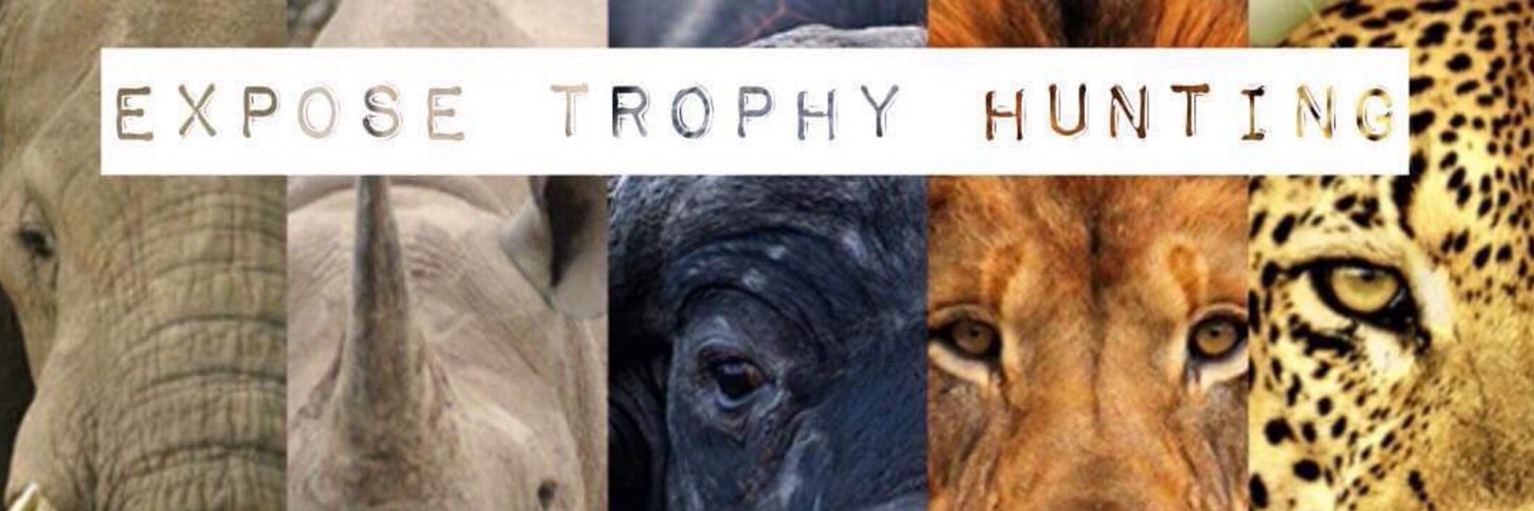 Xpose Trophy Hunting