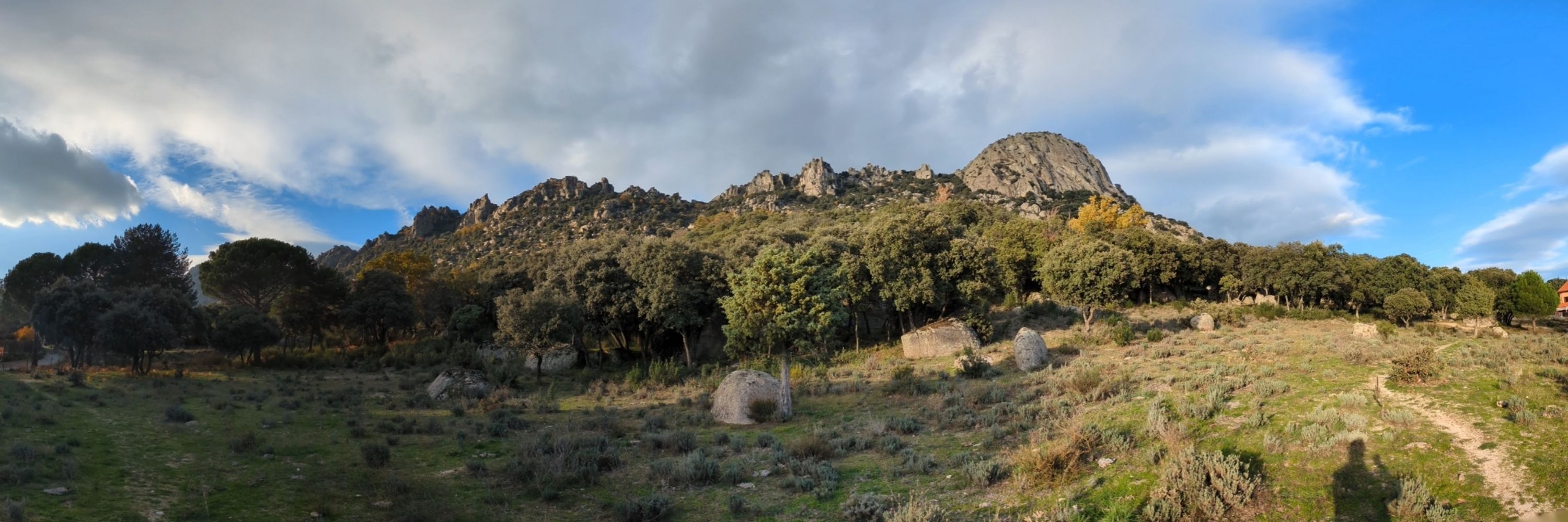 Dcialdella