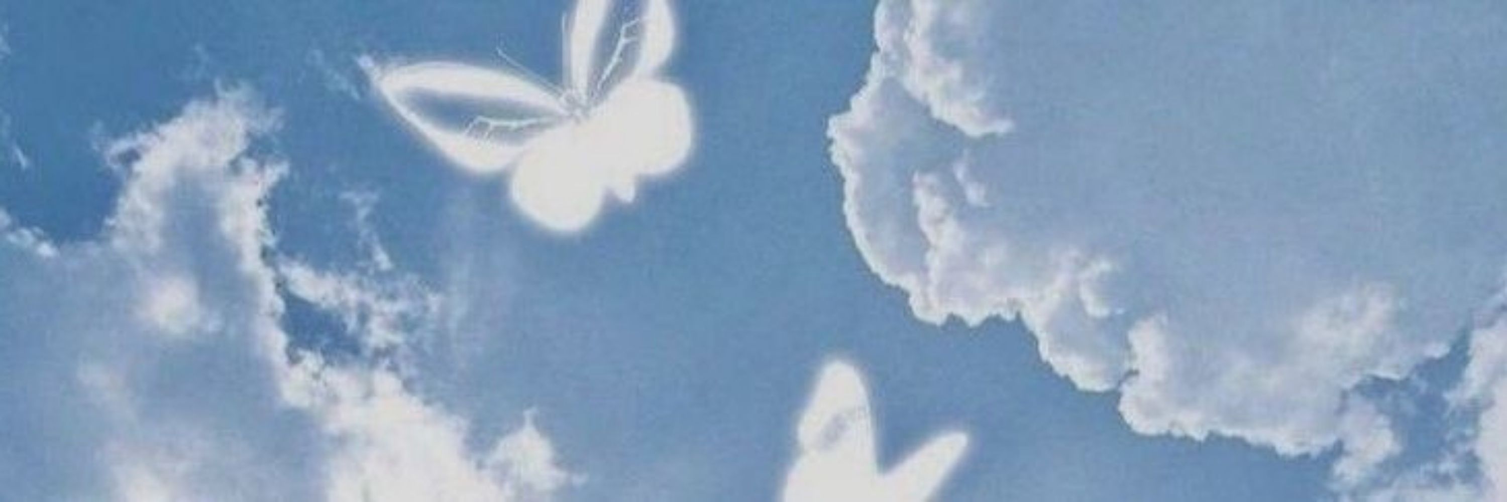 mar🦋