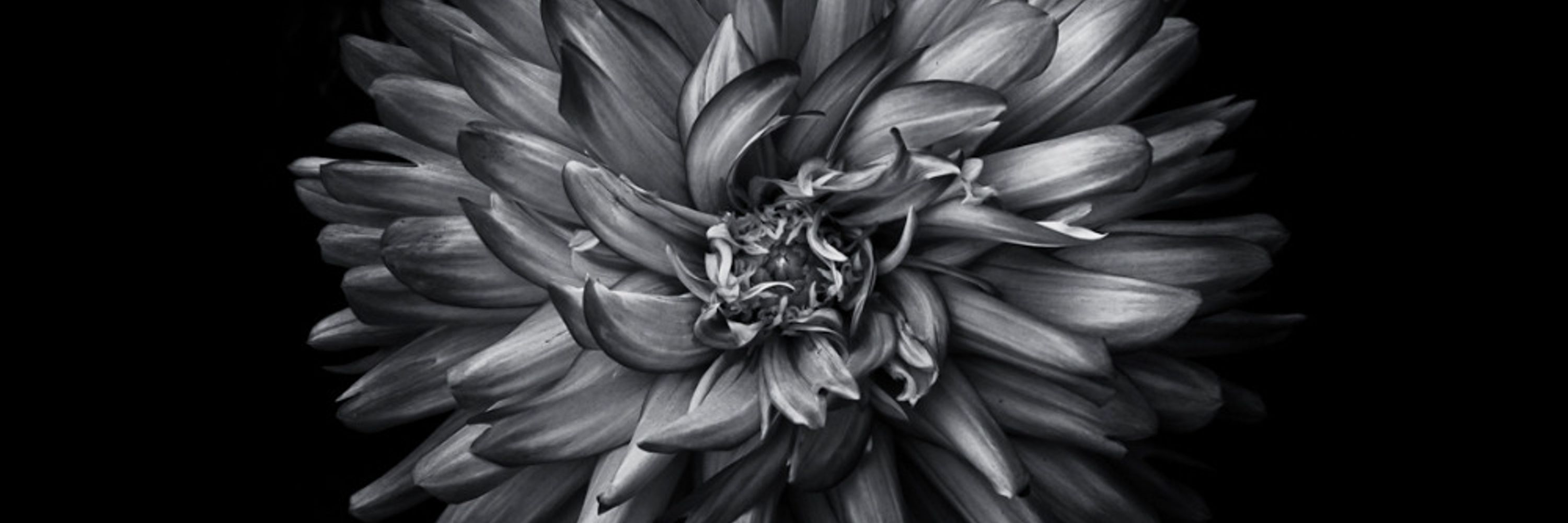 The Learning Curve Photography