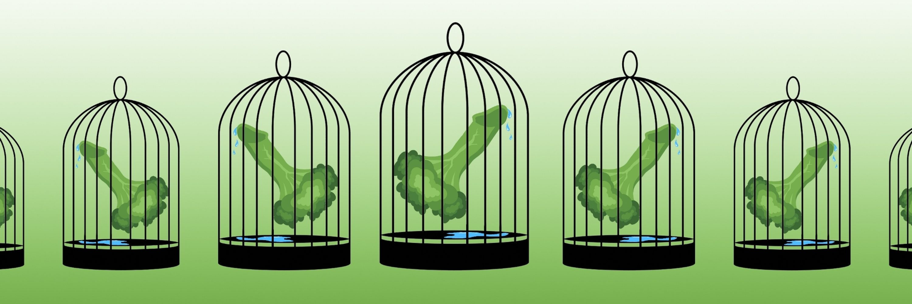 Locked Brock