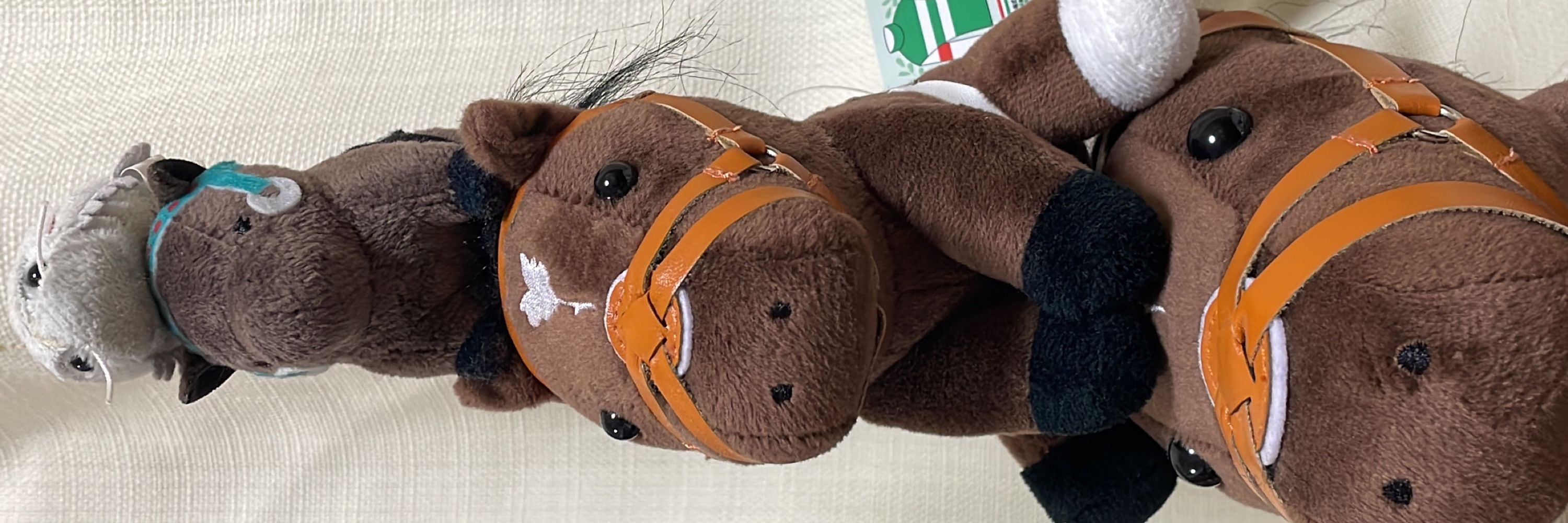 はーむ(´･_･`)