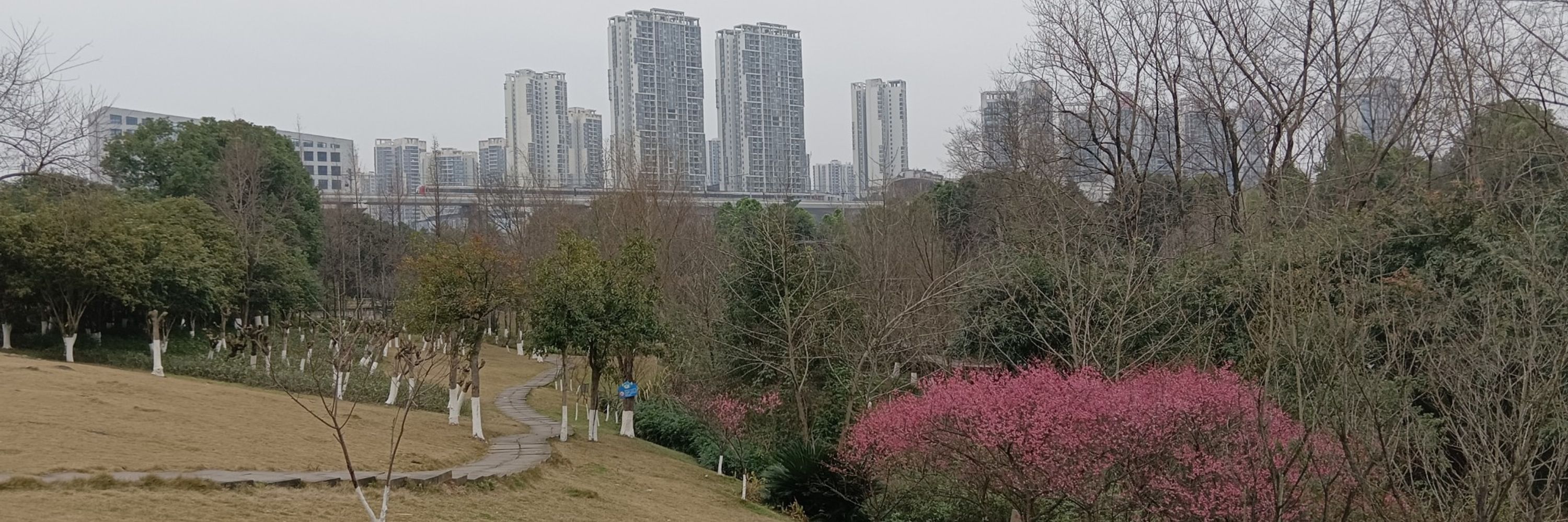 雾都不摆带😎