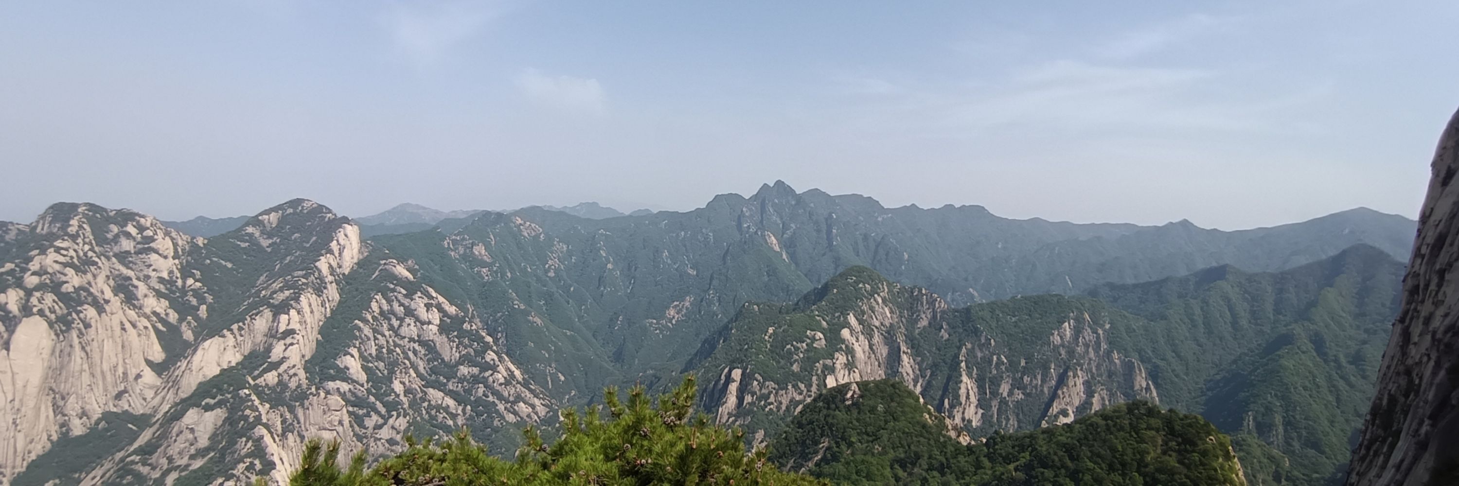 雾都不摆带😎