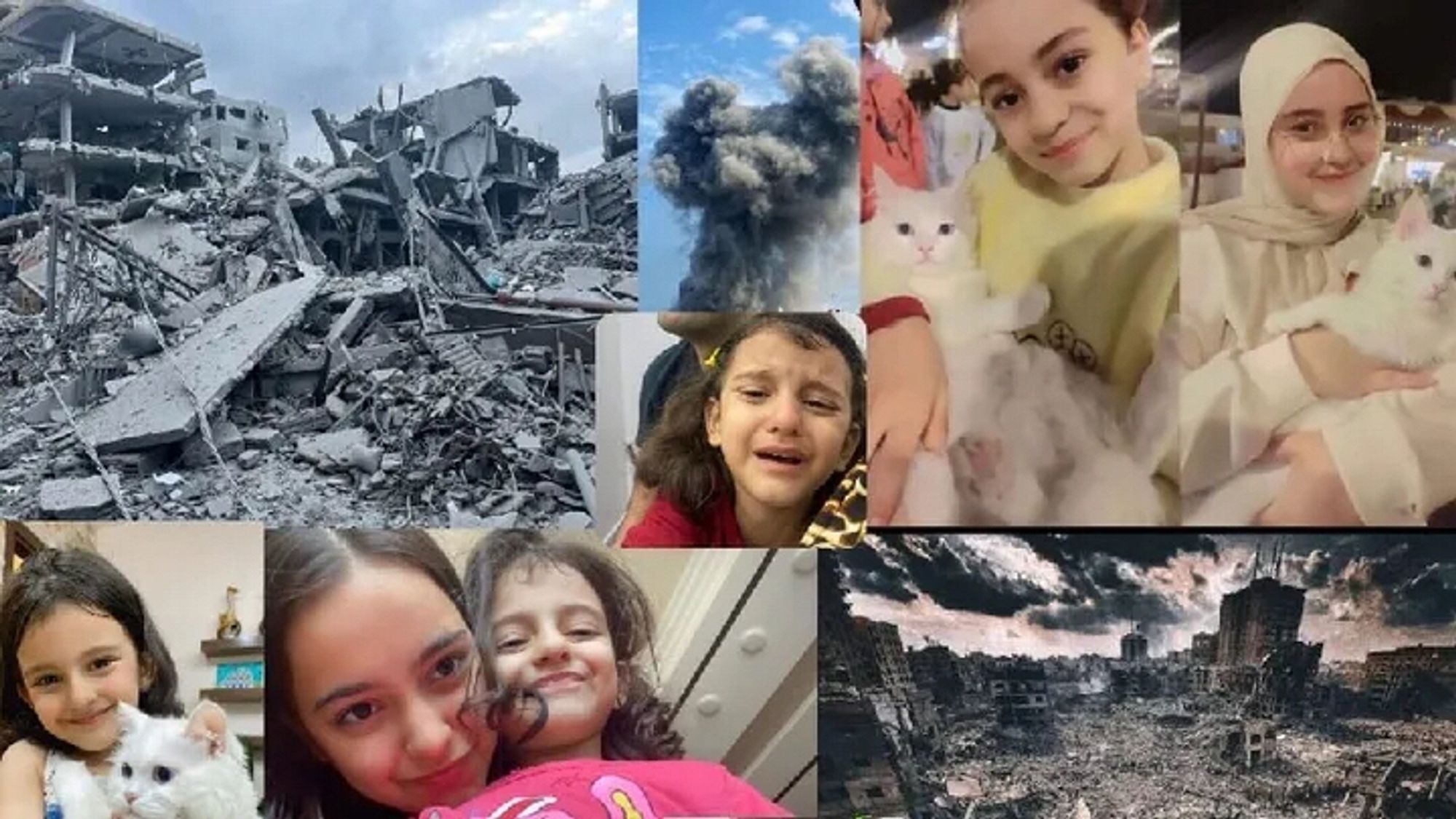 Photo montage showing bombed-out buildings and Majd’s siblings, who range in age from 5 to 18. In several pictures they are holding a white fluffy cat.