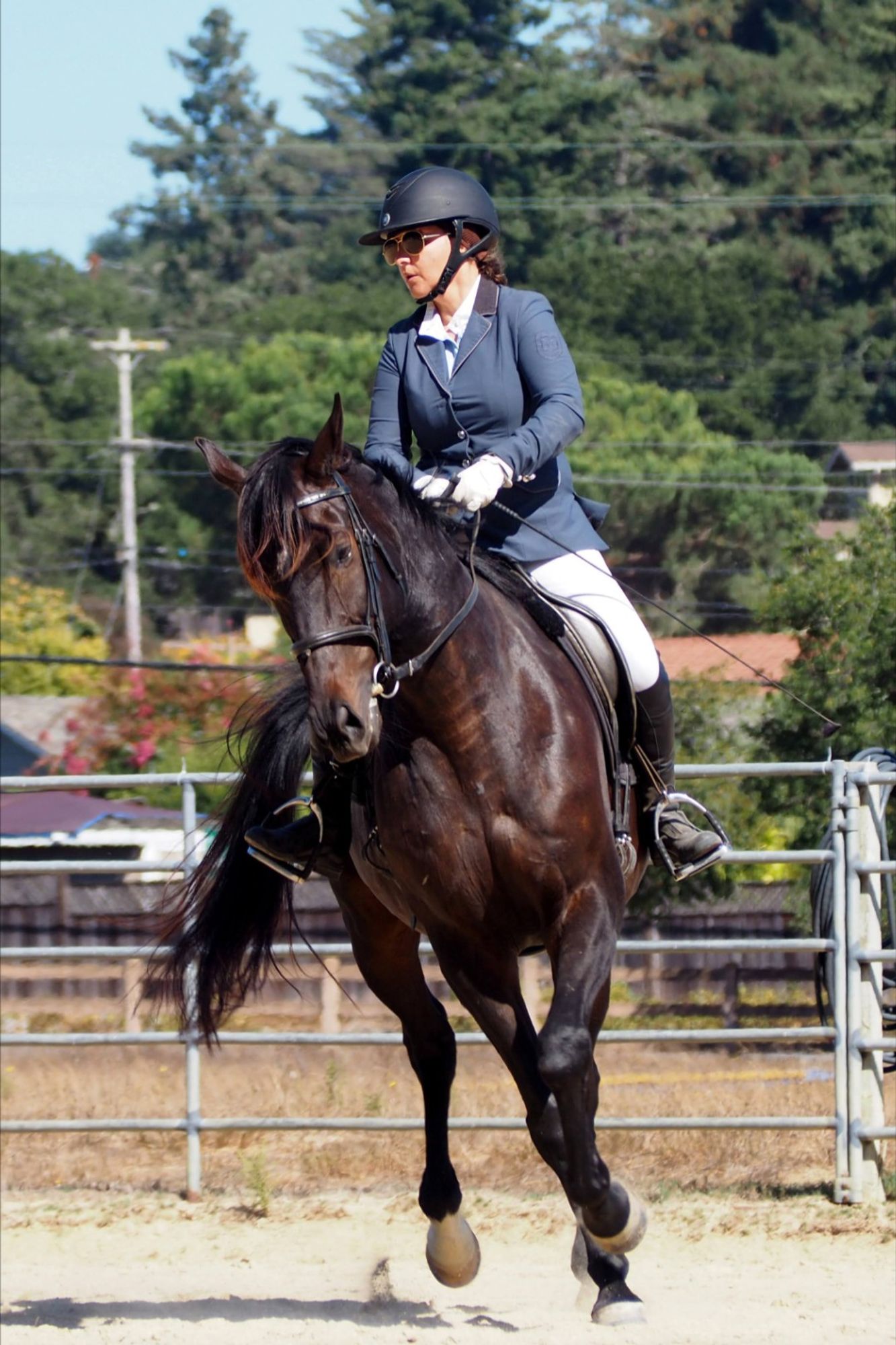 A woman in aviator sunglasses and a slate blue jacket, white pants white gloves sitting on a big dark horse, turning right.