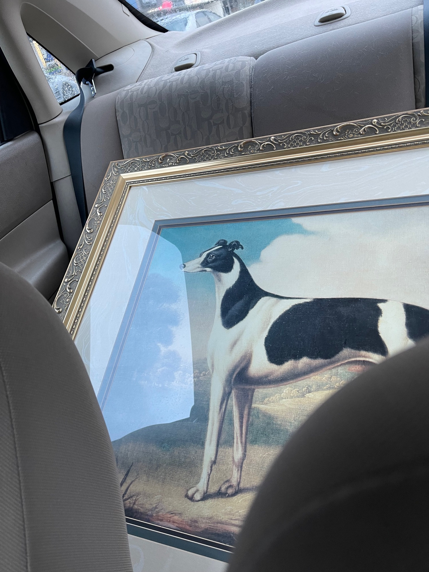 framed portrait of a greyhound in the back seat of a car.