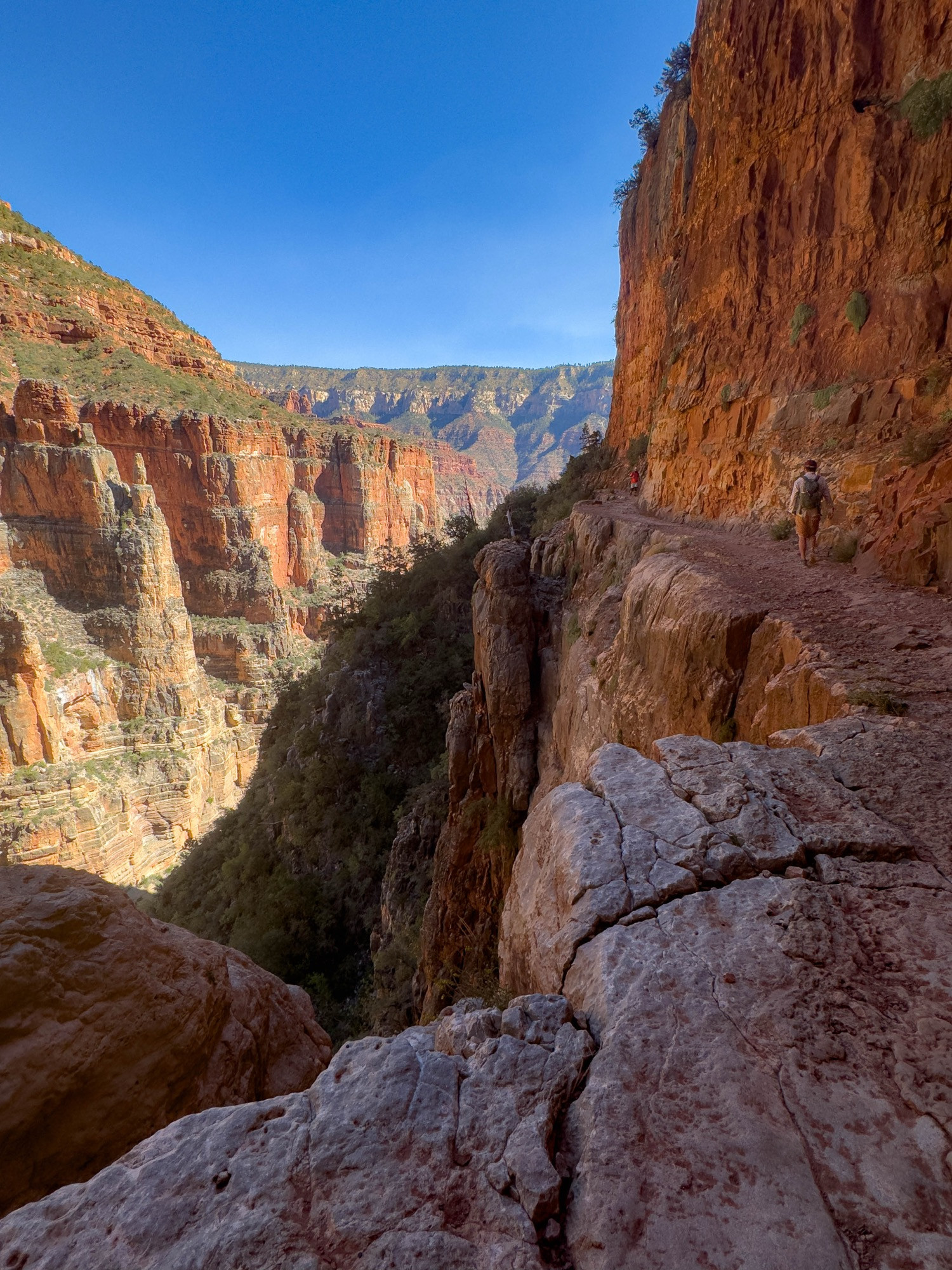 Northern rim trail of the Grand Canyon. Steep cliffs abound 