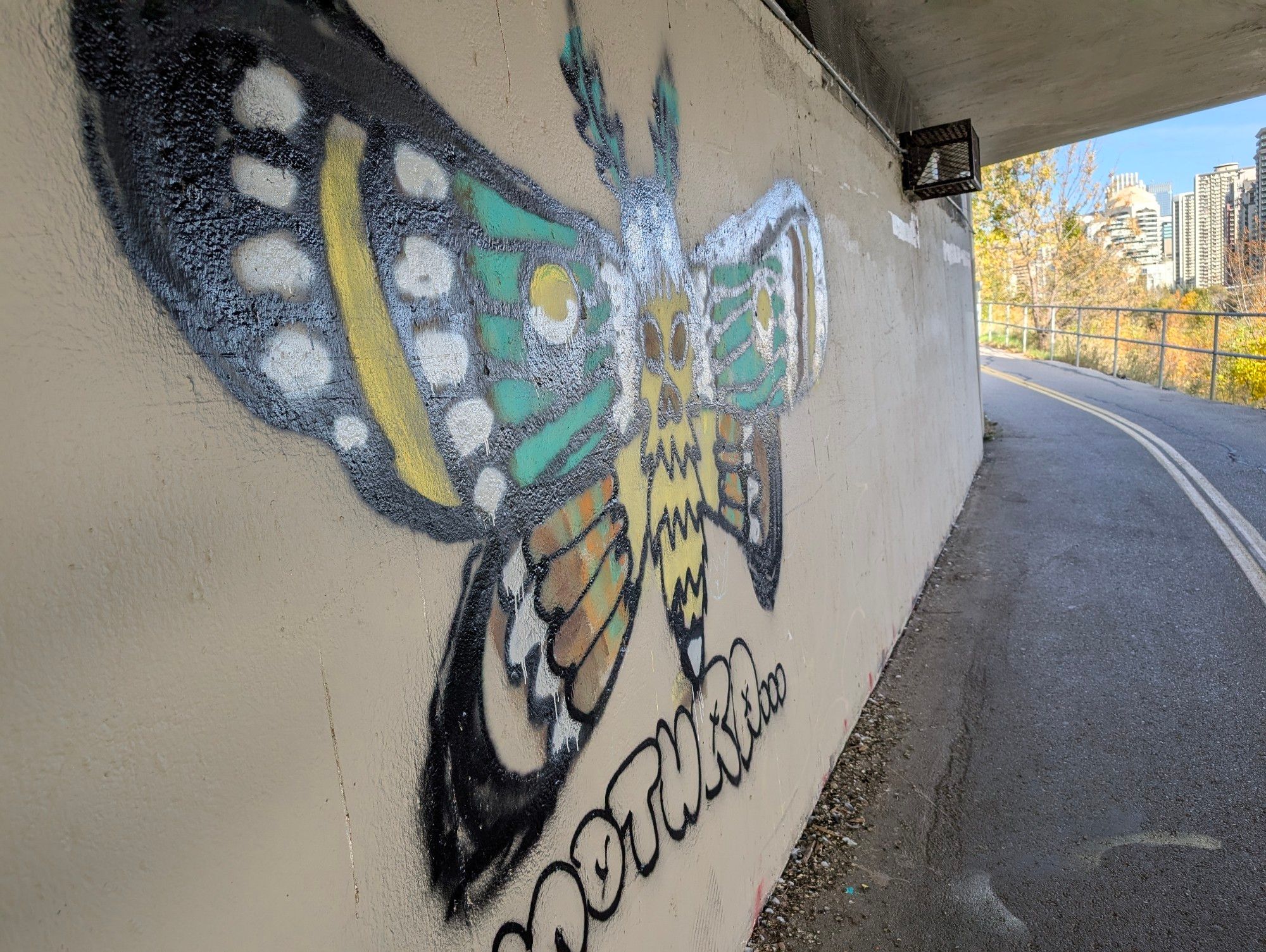 Graffiti under a roadway along a pedestrian path of a green, yellow and black butterfly. About 2 and a half meters wide.