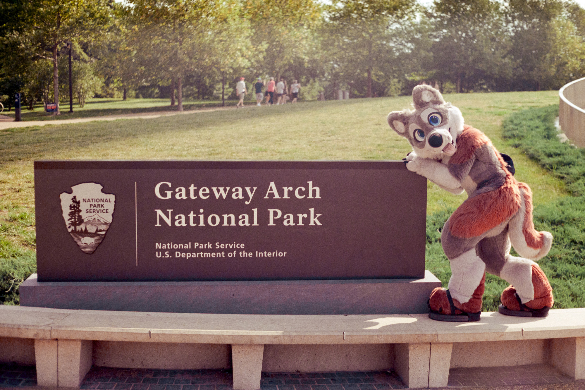 Kezl, a gray and white wolf with patches of red on their haunches, tail, paws, and shoulders, poses alongside the Gateway Arch National Park sign at the entrance to the Gateway Arch visitor's center.
Shot on expired Fujifilm F-64D rated at 32 ISO with a Yashica Lynx-14.