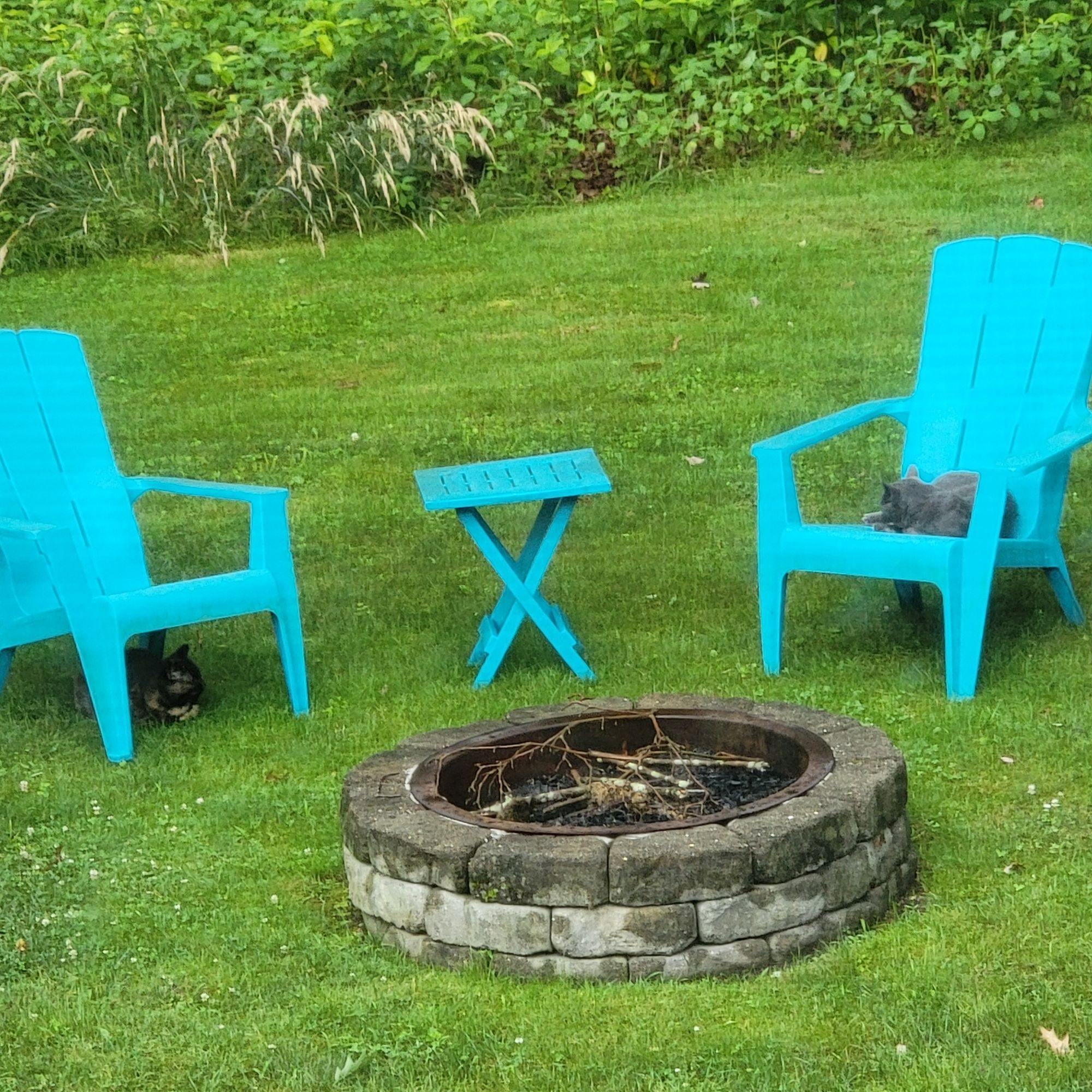 Lilo is sitting under a lawn chair, looking at Smokey napping on the other lawn chair.