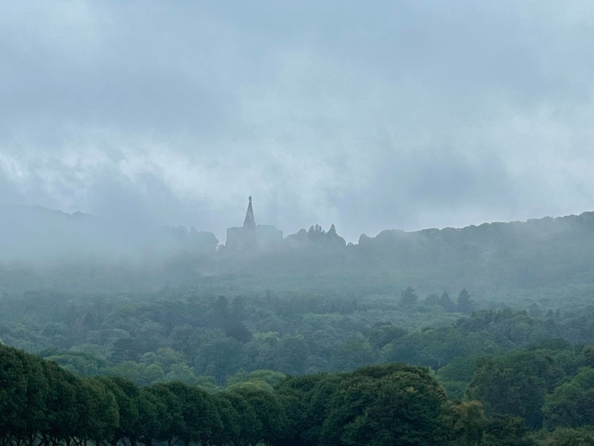 Vernebelte Sicht auf Wald und den Bergpark Wilhelmshöhe mit dem Herkules am Horizont.