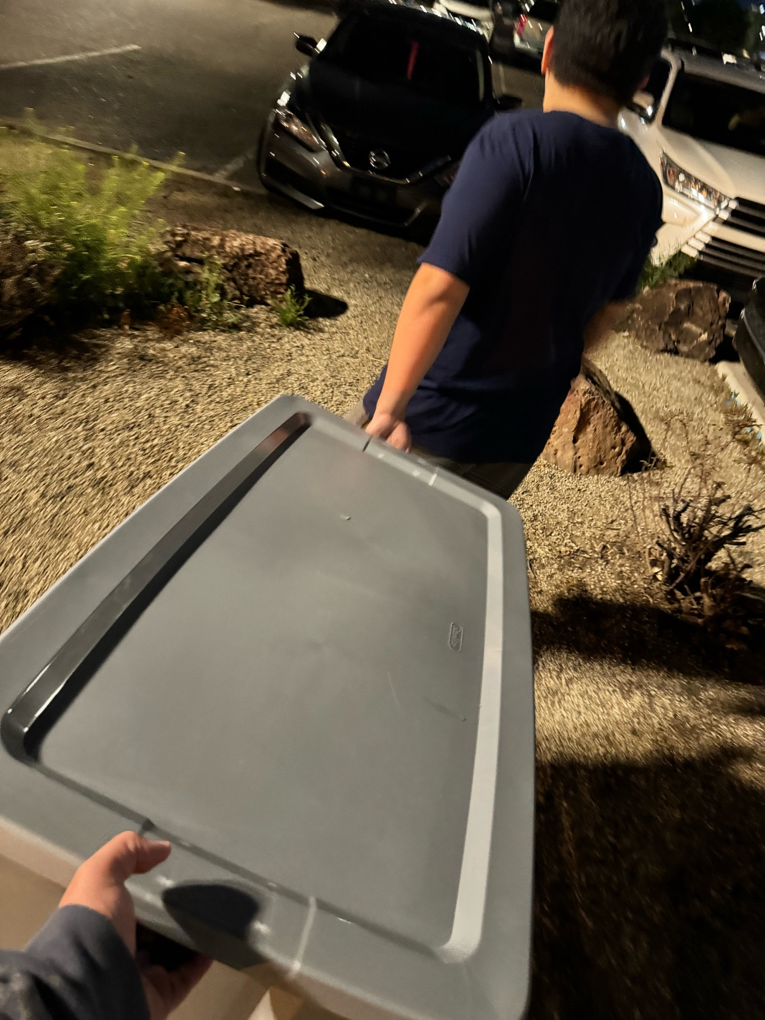 My pov of my older nephew and i carrying a tote through a parking lot