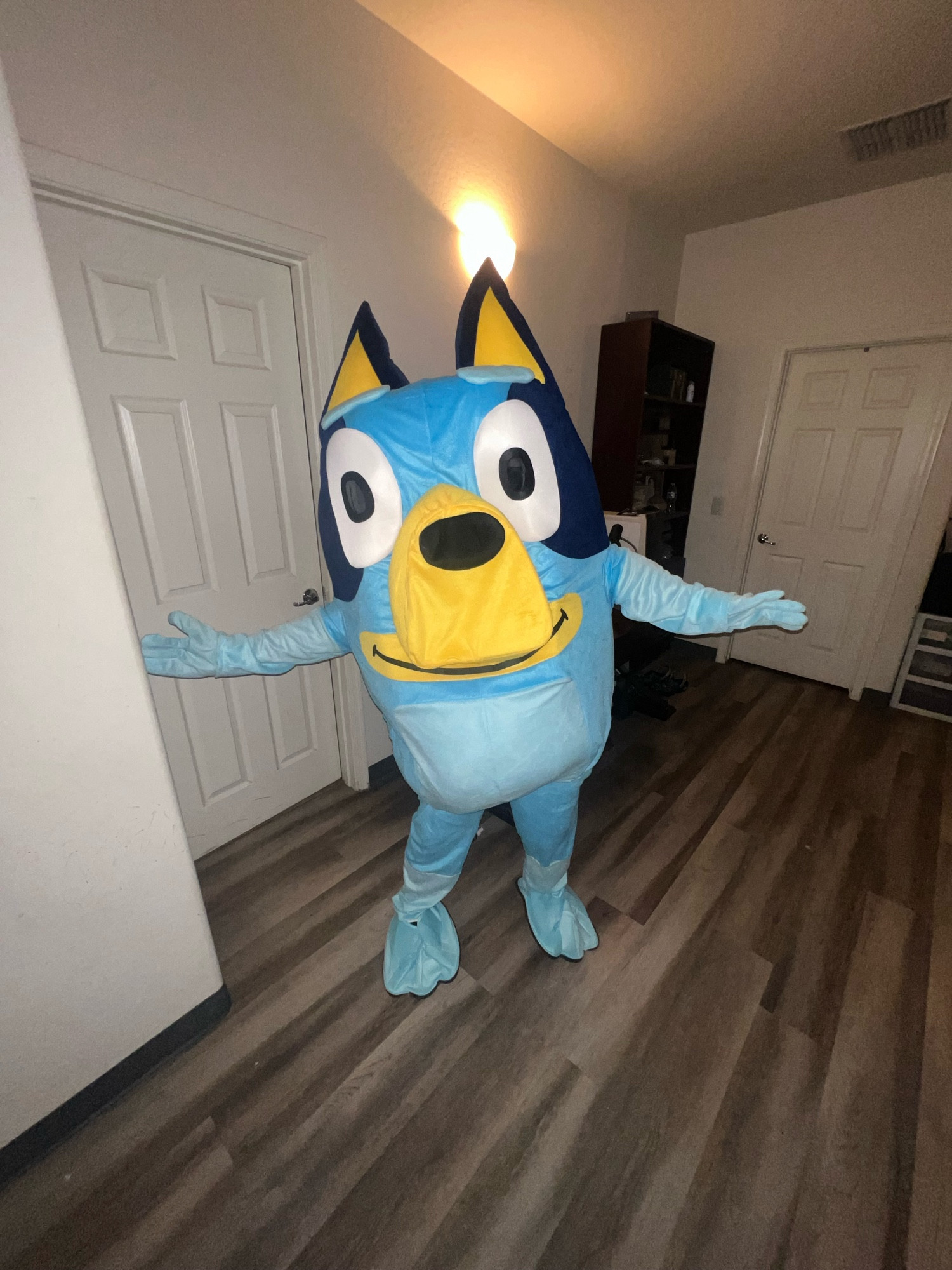 My older nephew tried on the bluey costume and is in this photo posed with his arms out in a shruggy motion