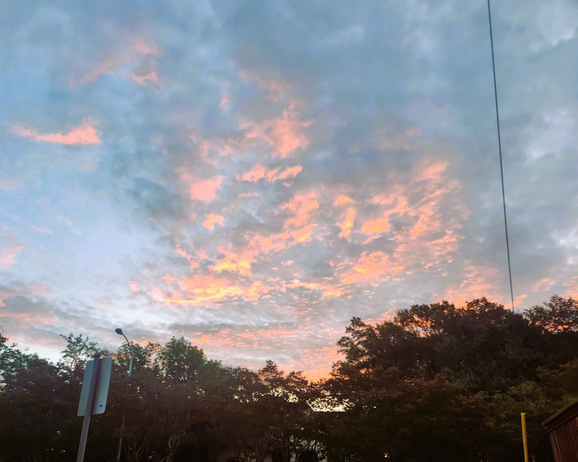 Sunrise reflecting on clouds over neighborhood houses and trees.