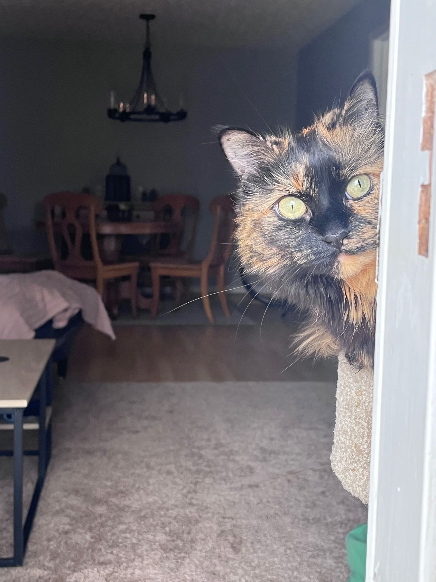 Ruthie beautifully lit sticking her head through a door frame