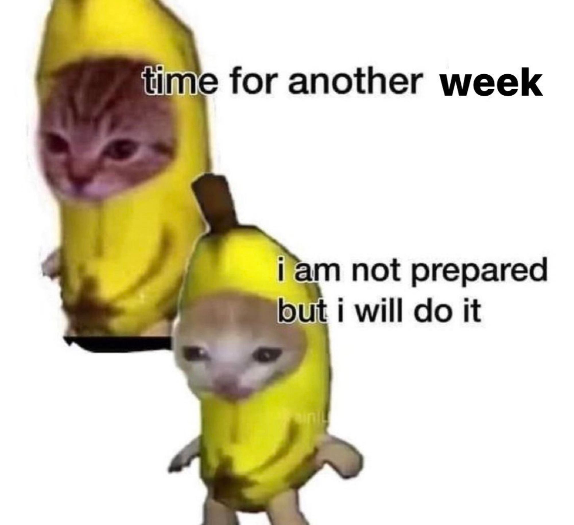 sad kittens photoshopped into banana outfits. the caption says "time for another week. i am not prepared but i will do it"