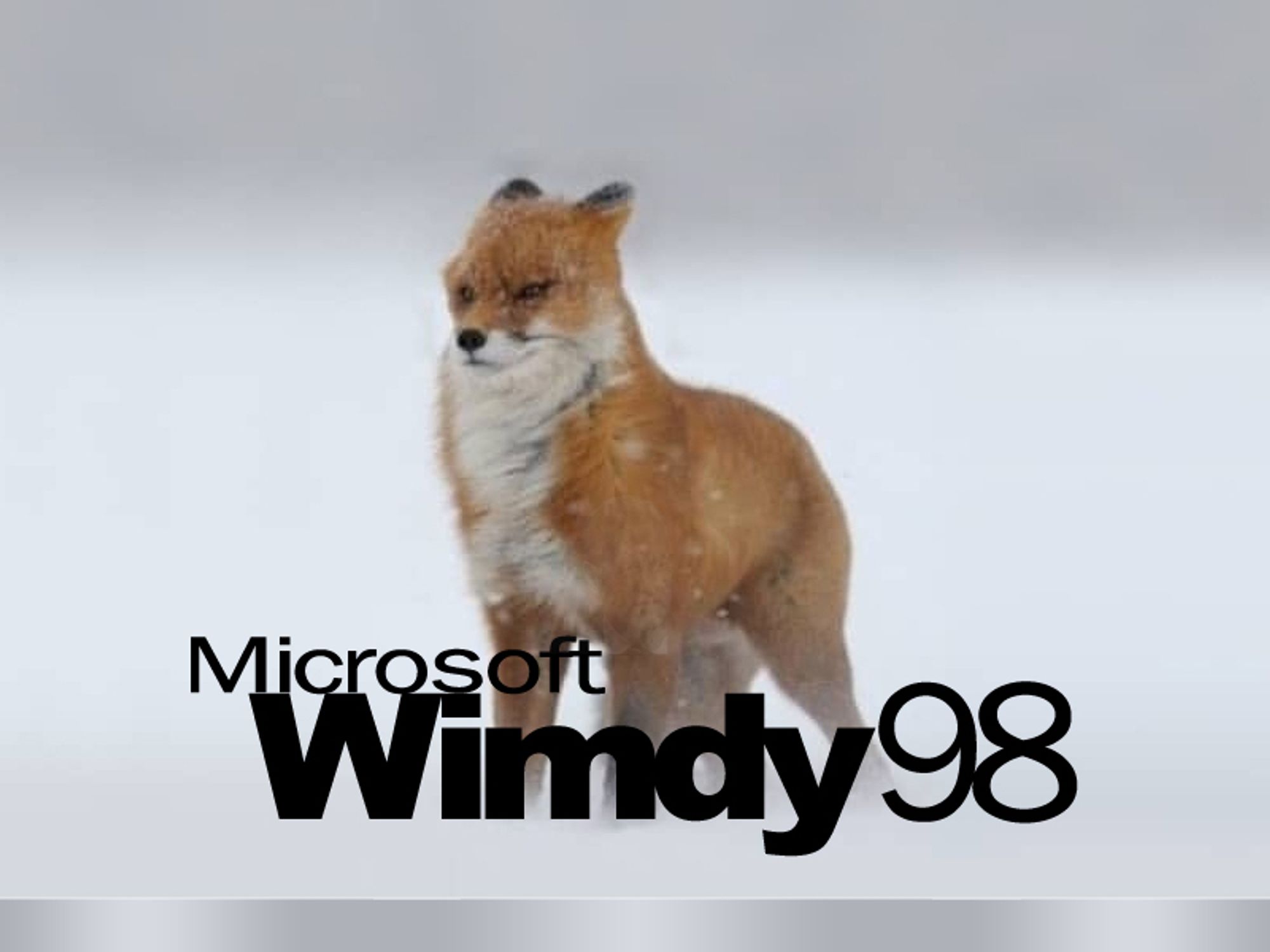 A Microsoft Windows loading screen, with the "IT FUCKEN WIMDY" meme fox, overlaid with "Microsoft Wimdy98".