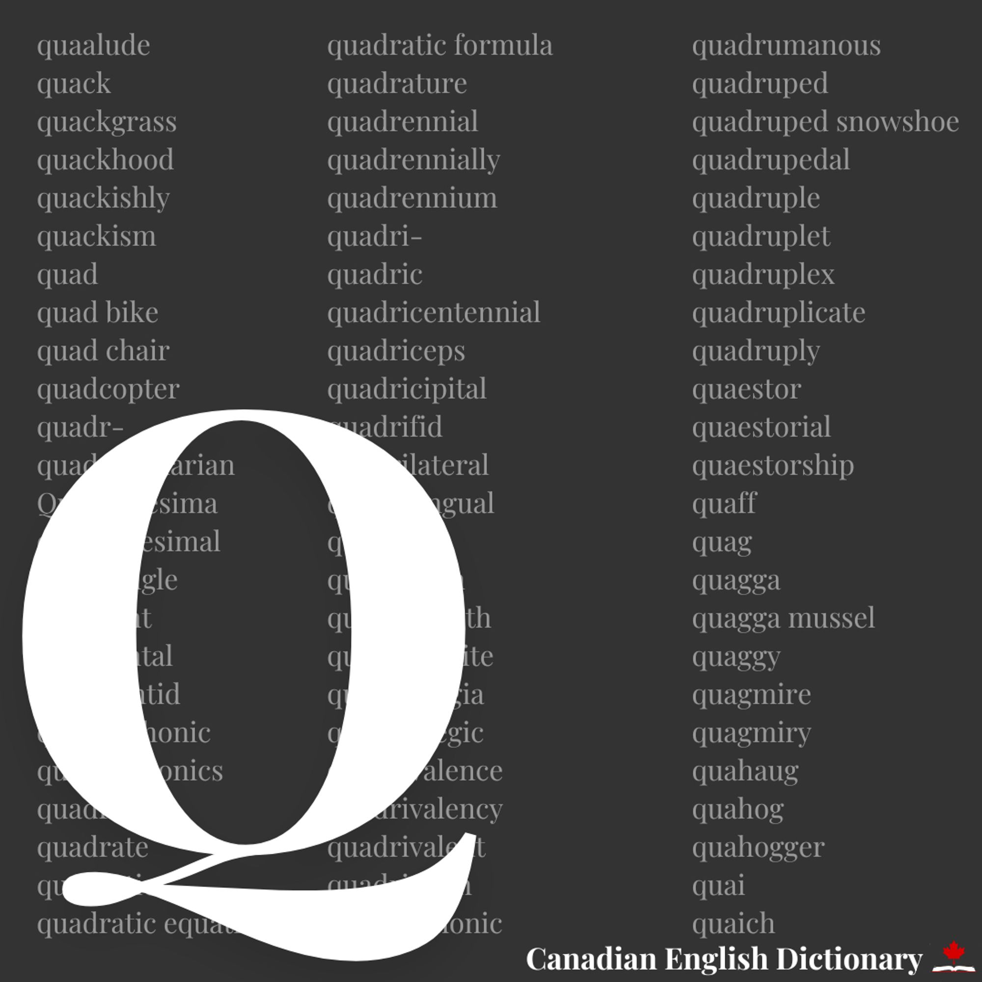 A large White Q on a grey background. adorned with an excerpt of Q words from the dictionary.