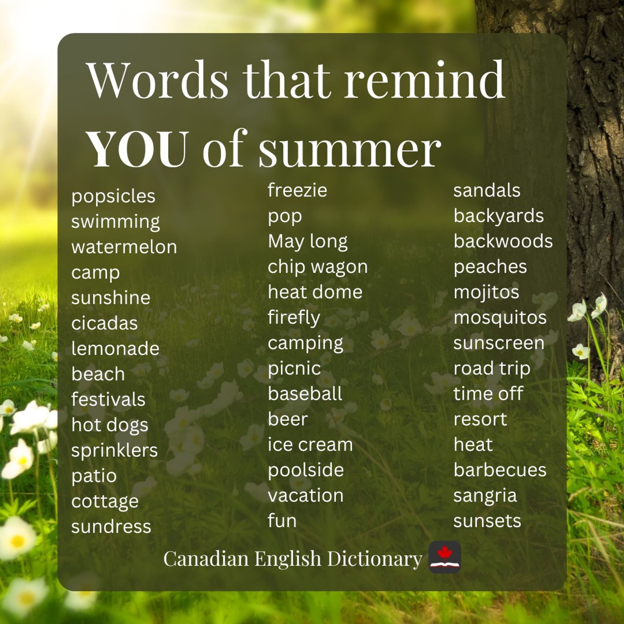 A list of words related to summer on a meadow background.