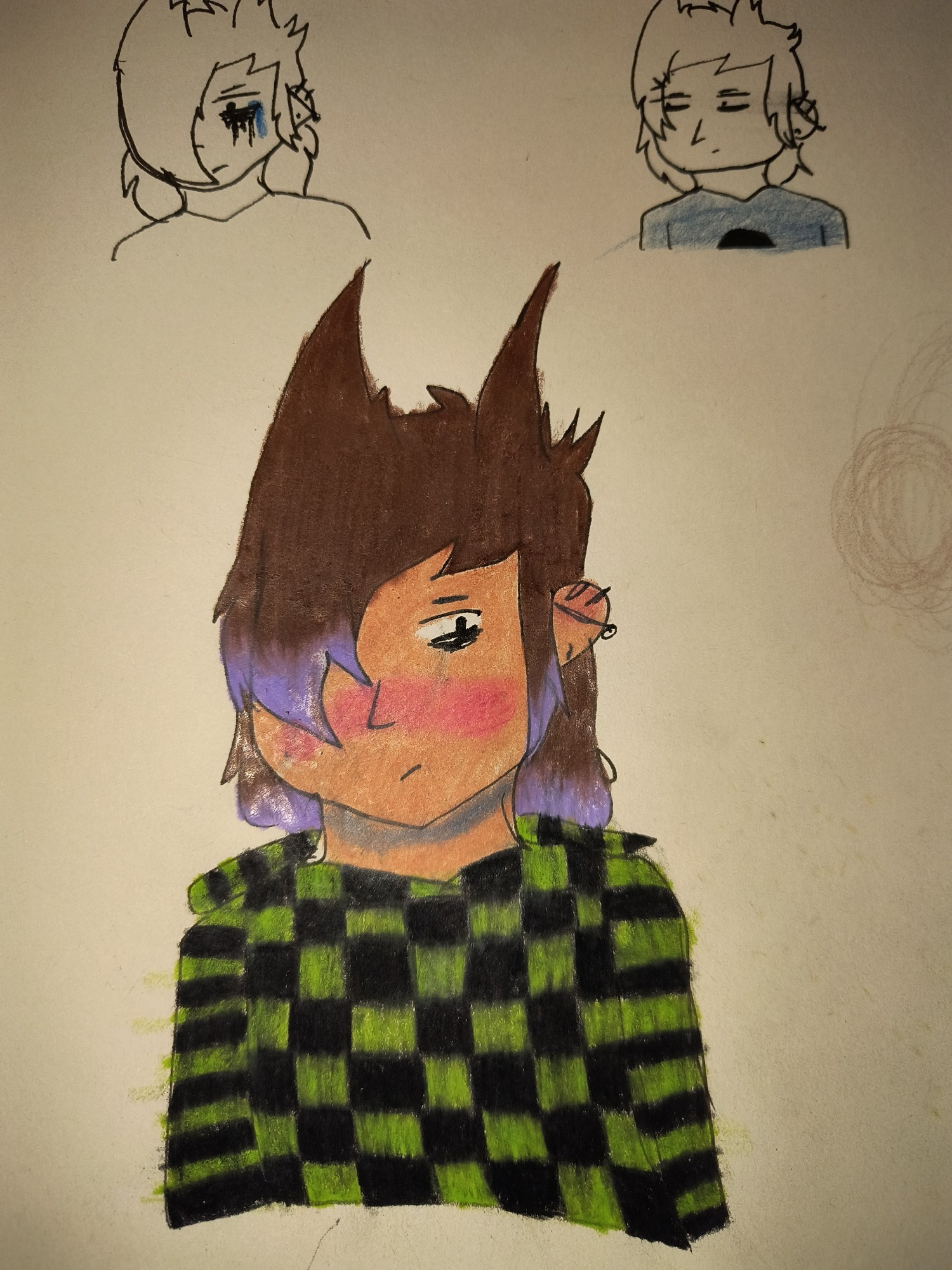 An image of Tord Eddsworld. He has beige skin with a heavy pink blush, eye bags, and 4 piercings on his ear. He's looking off to the side. His hair is covering half his face and is a dark brown, with his ends dyed a lavender purple. He wears a hoodie with a checkered pattern changing between black and lime green on the torso, and stripes on the arms.