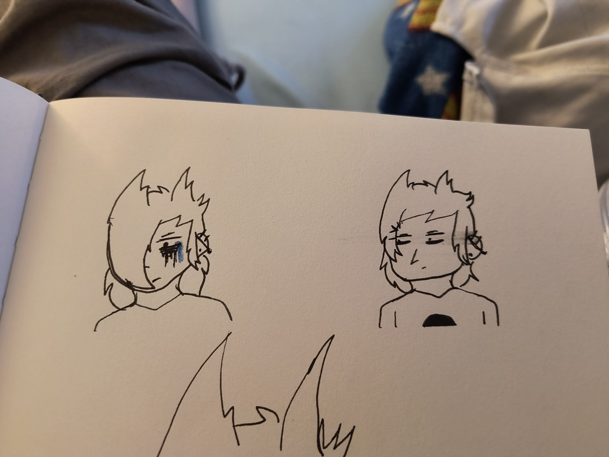 2 drawings of Tord Eddsworld. On the left, he is crying while looking down, with his mascara running and the left half of his face being covered by his hair. On the right, he is looking to the left and down, with his hair moved out of his face, kept in place by 2 hair clips.