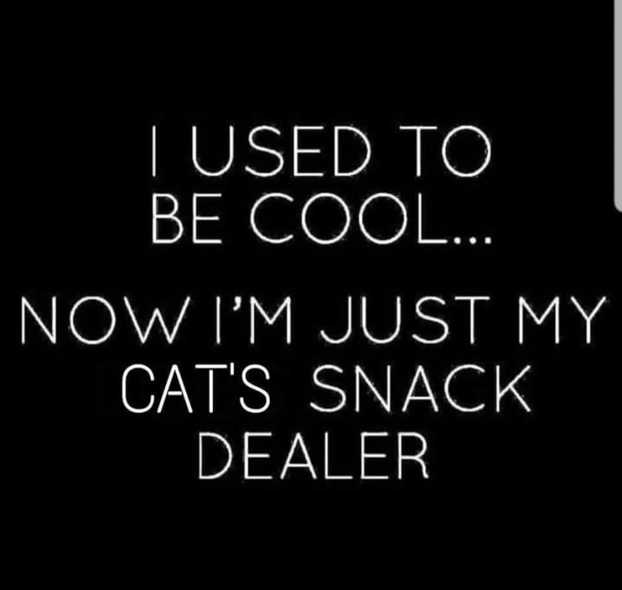 I USED TO BE COOL...
NOW I'M JUST MY CAT'S SNACK
DEALER